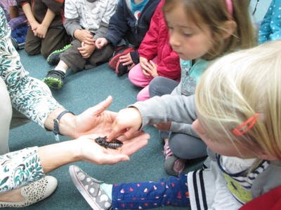 Person holding an insect in their hands while children look on