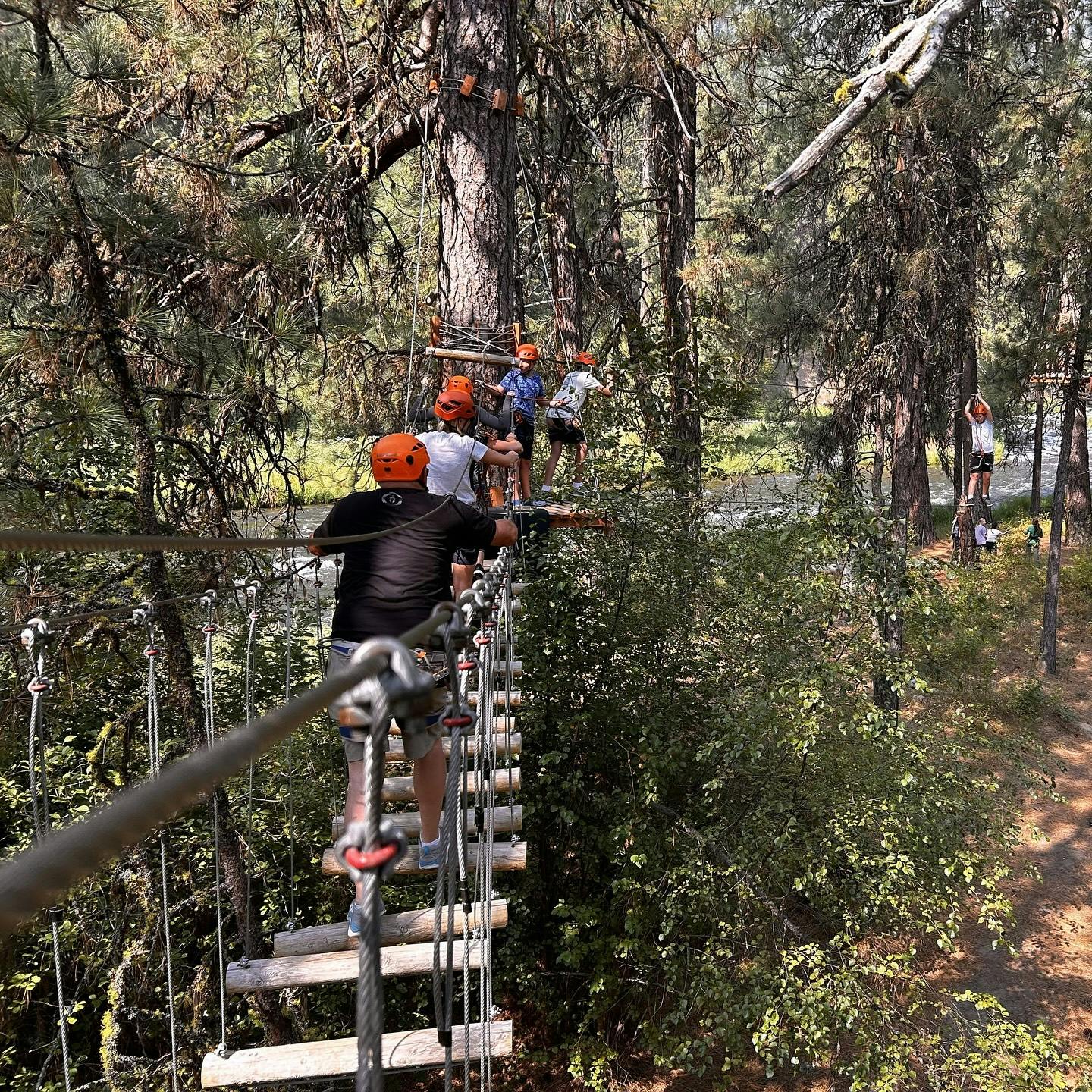People on a rope bridge in a forest canopy