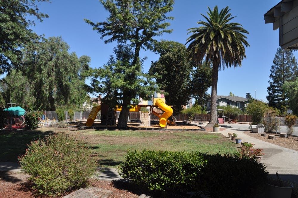 Playground with yellow slides and green trees