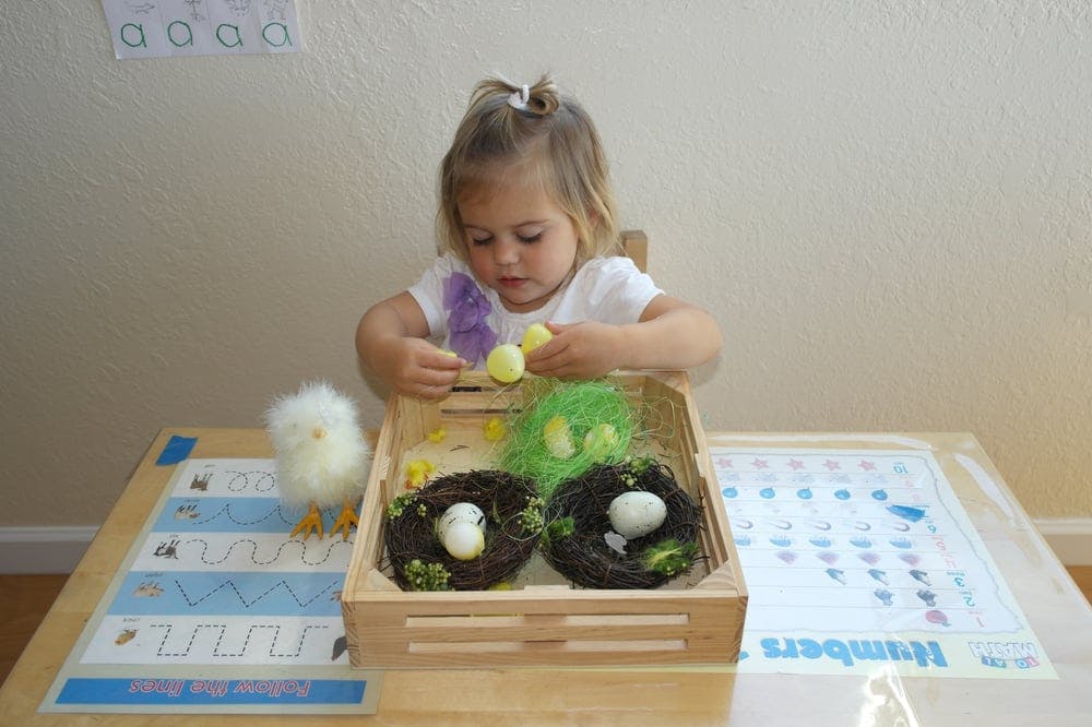 Child playing with toy chicks and nests with eggs