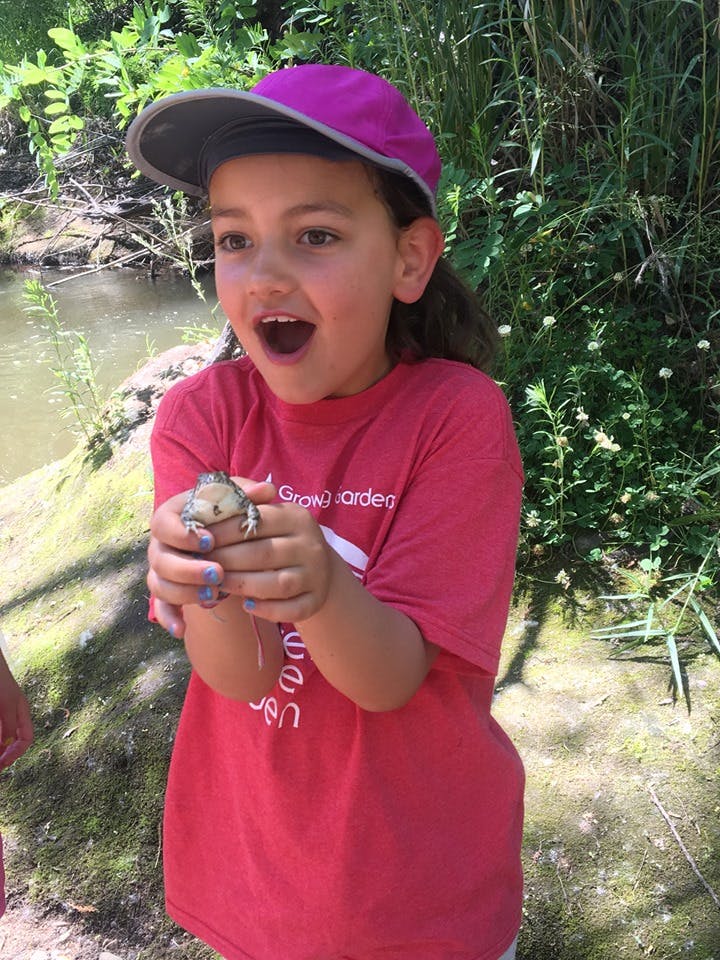 Child in a pink hat holding a small frog