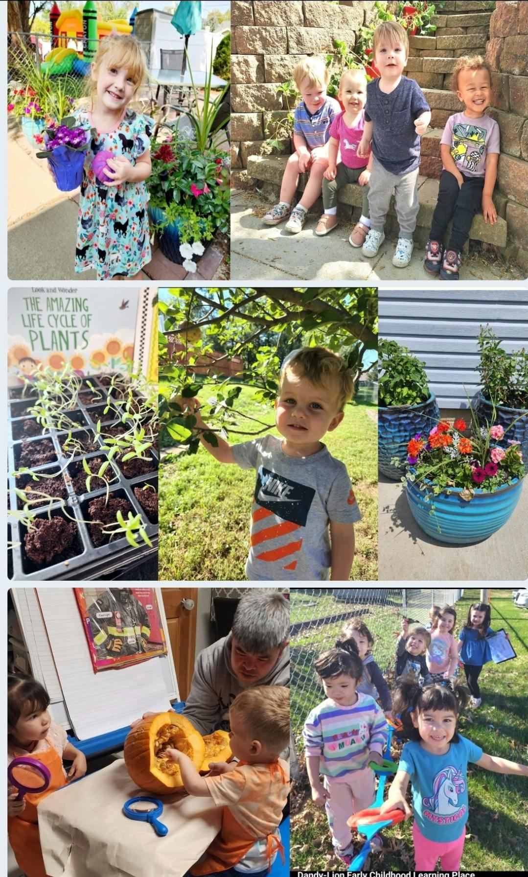 Collage of children engaged in various outdoor and indoor activities