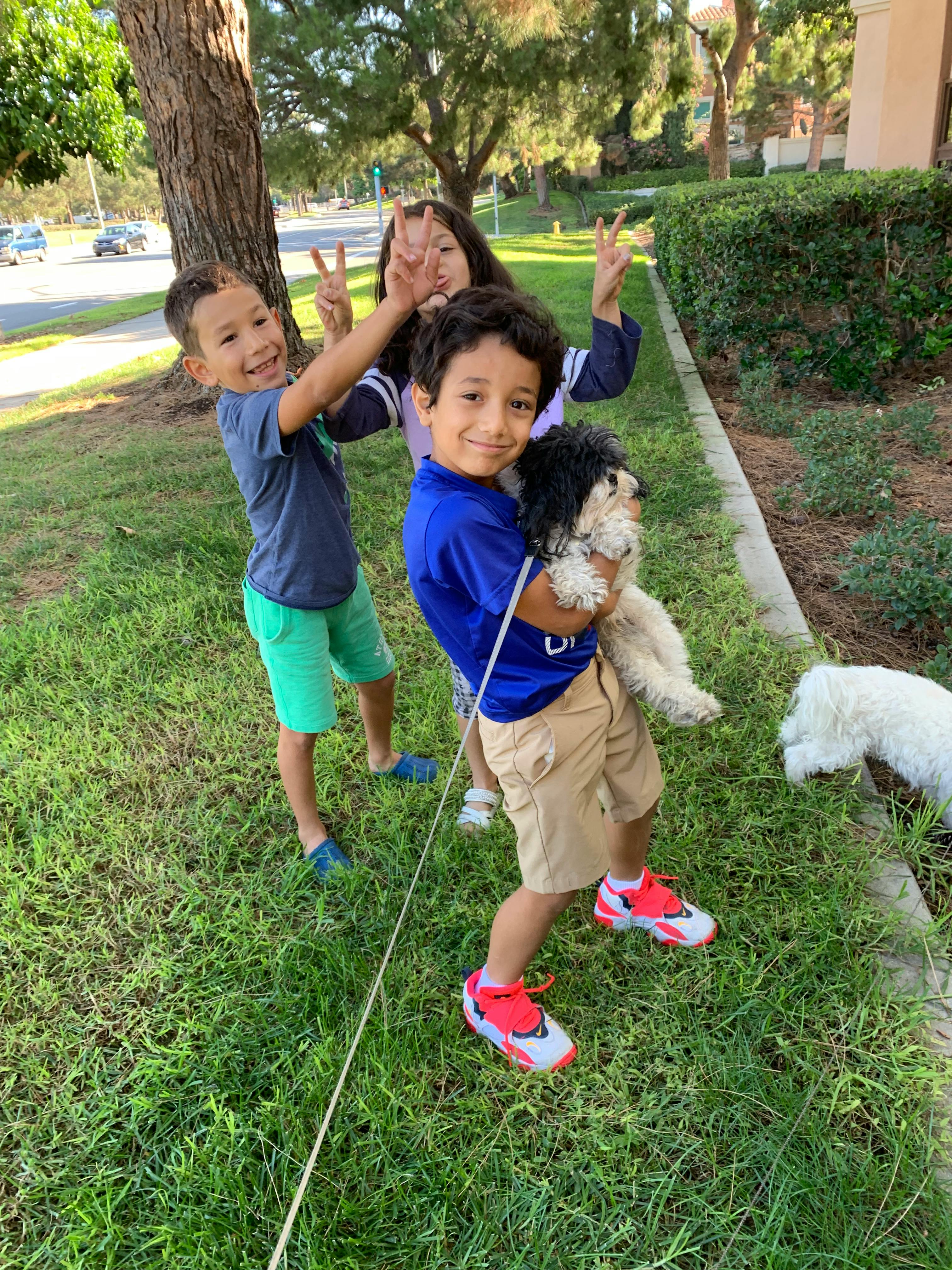 Three children and a small dog on a leash in a grassy area