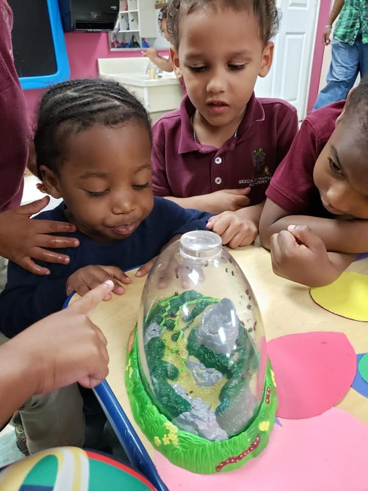 Children looking at a terrarium