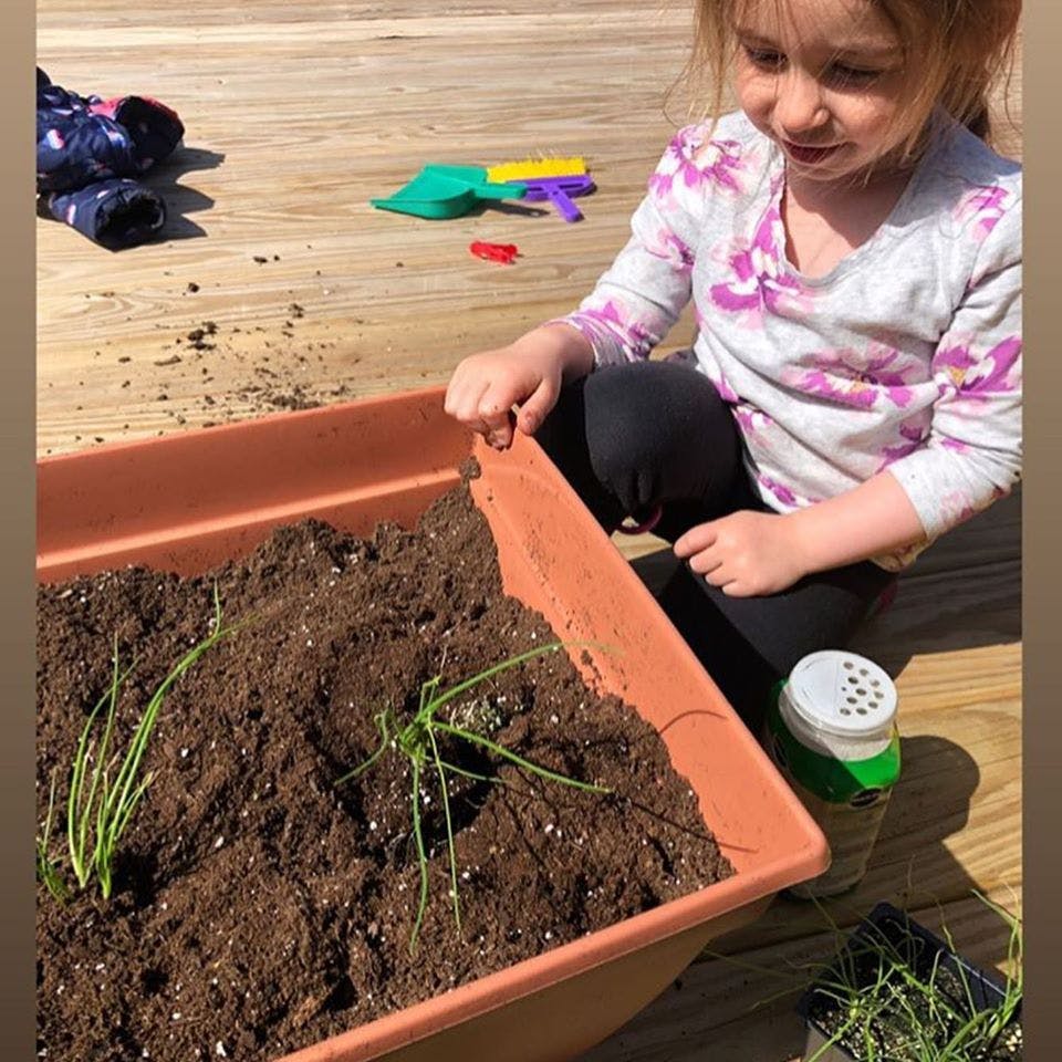 Child planting in a rectangular planter with soil and small green plants
