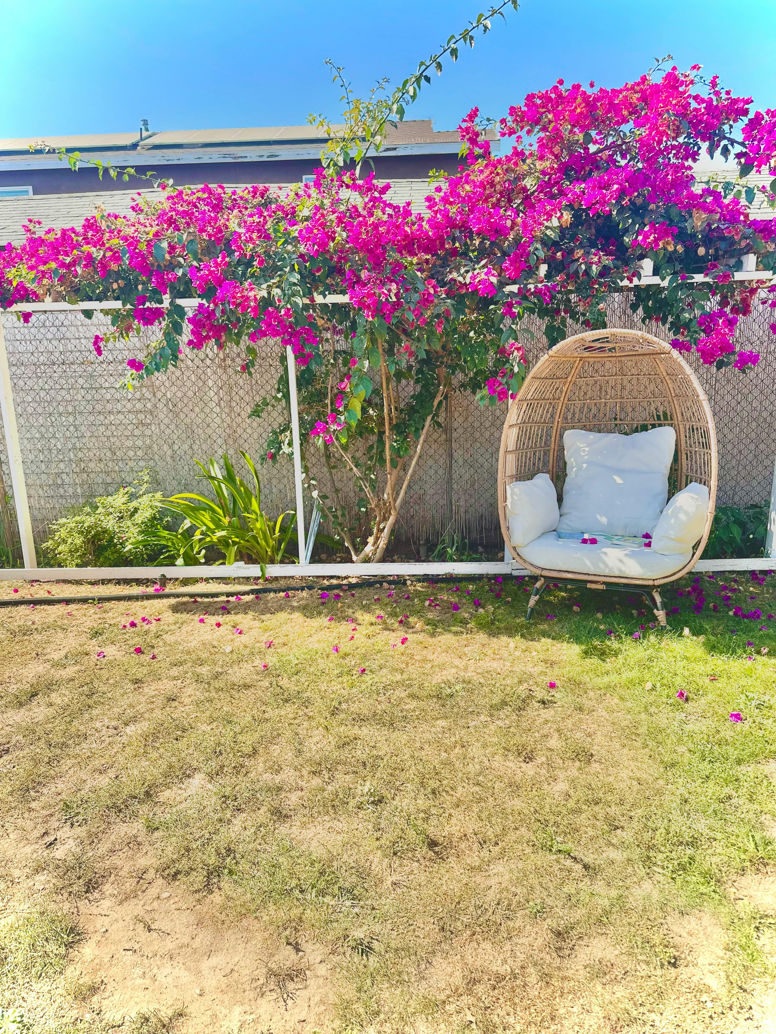 Wicker egg chair with cushions in a garden with flowering bushes