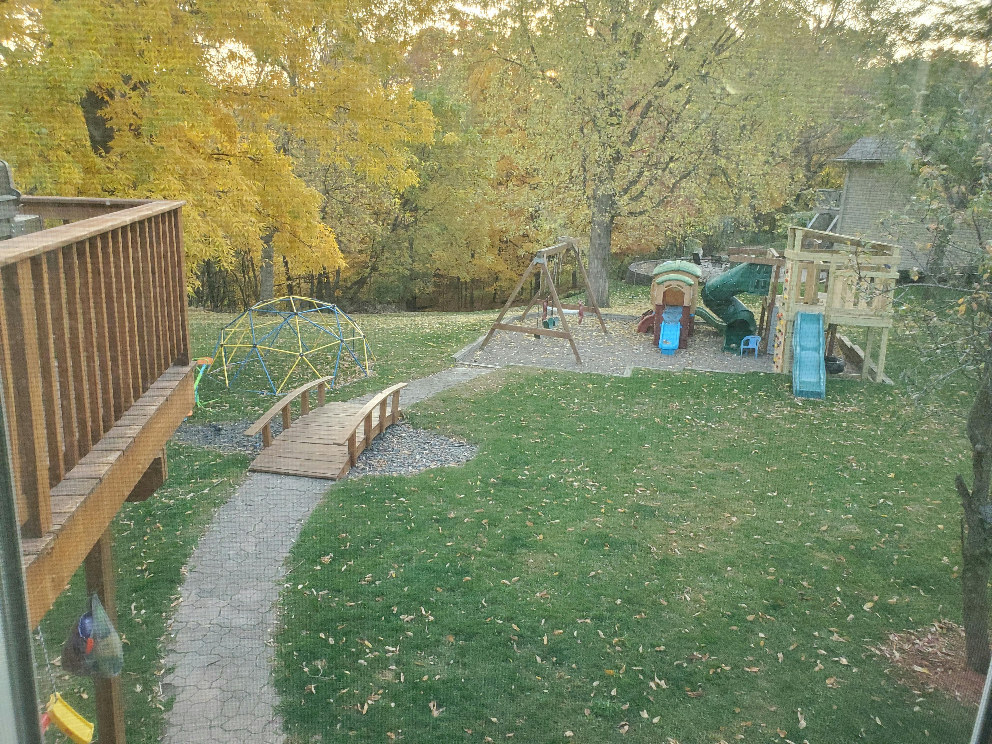 Backyard playground with swings, slides, climbing dome, and small bridge