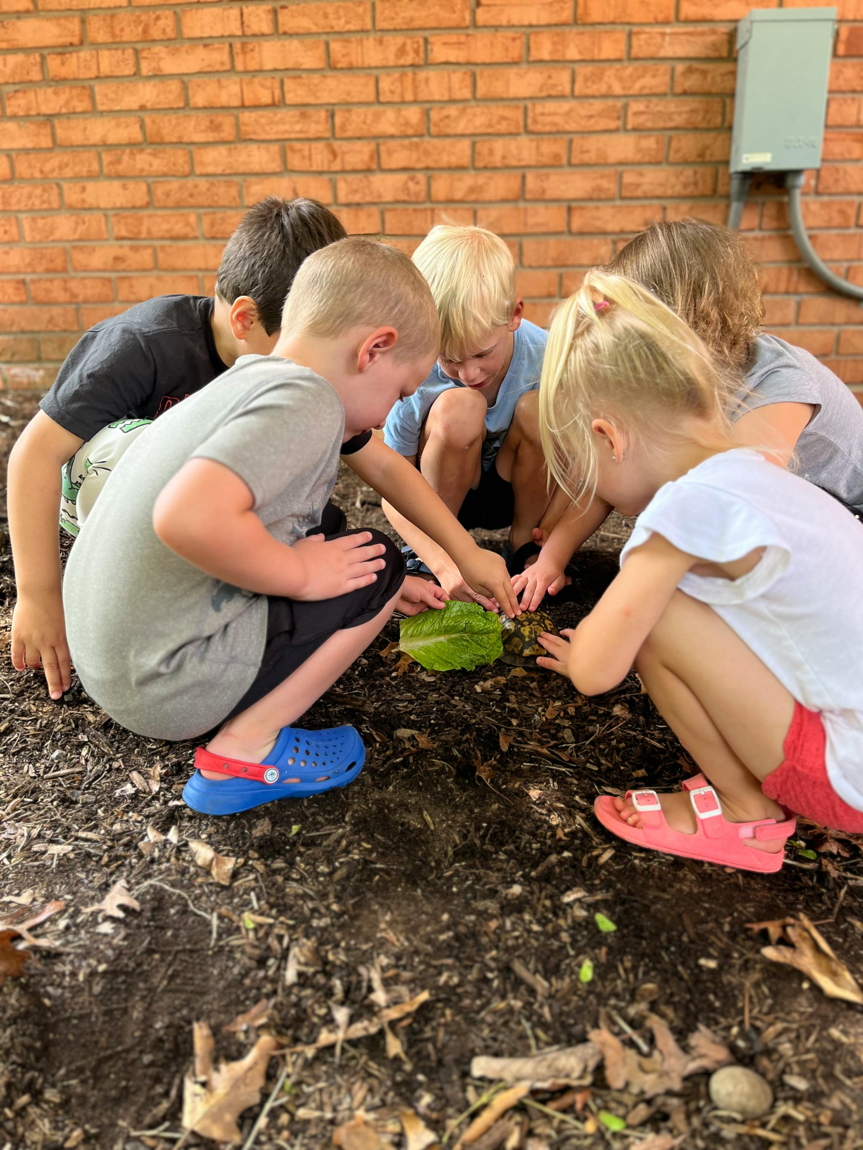 Children gathered around a plant on the ground