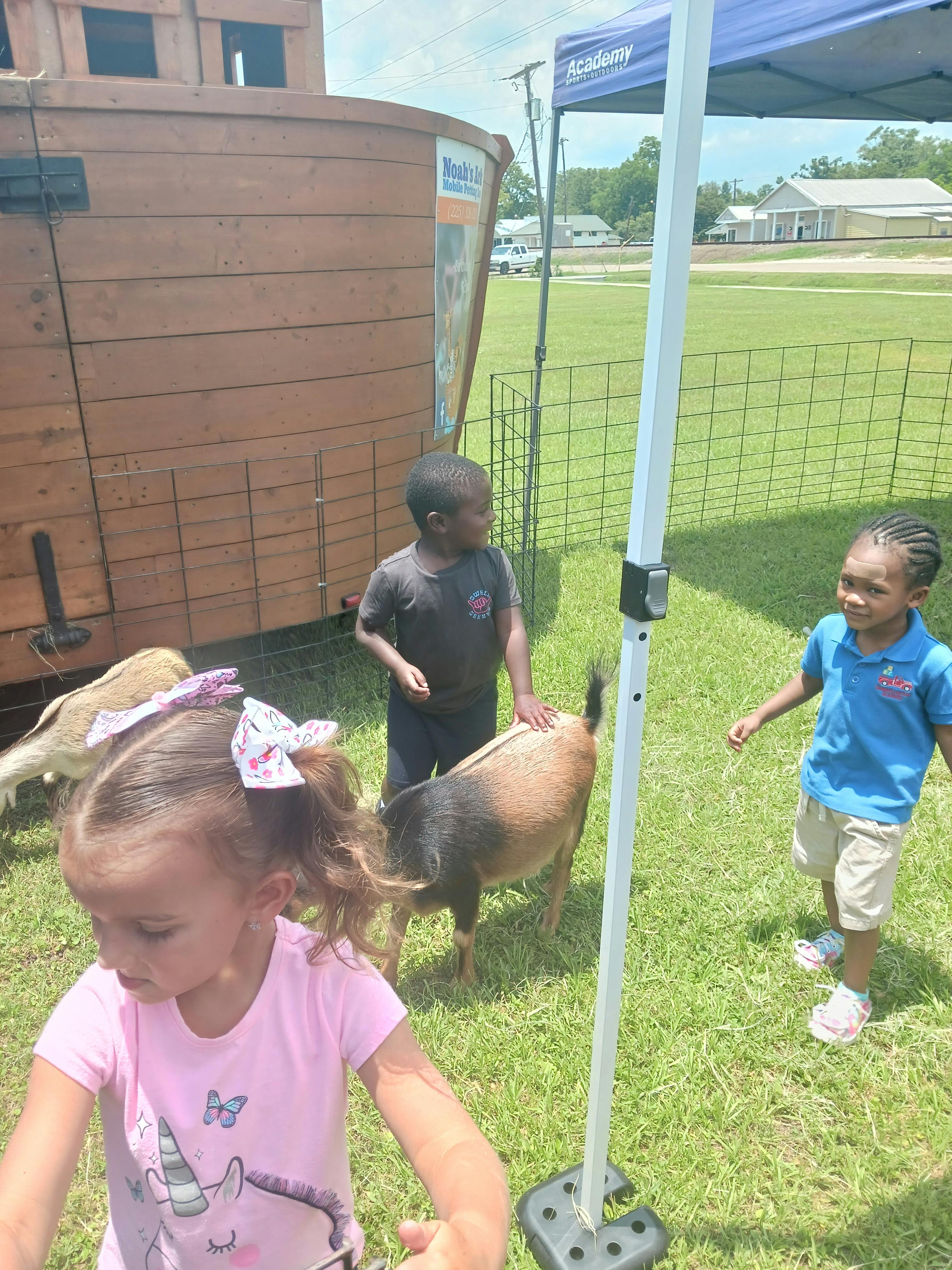 Children interacting with goats in a grassy area