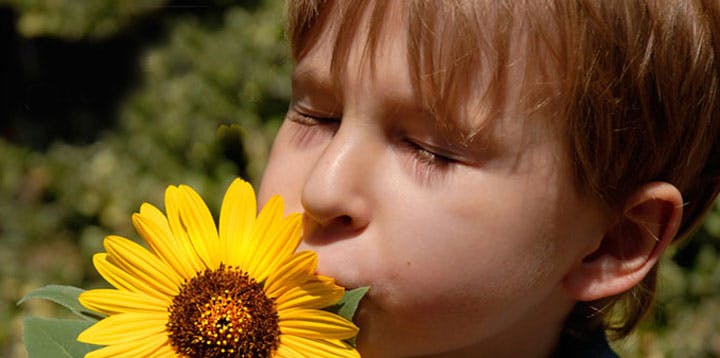 Child smelling a yellow flower