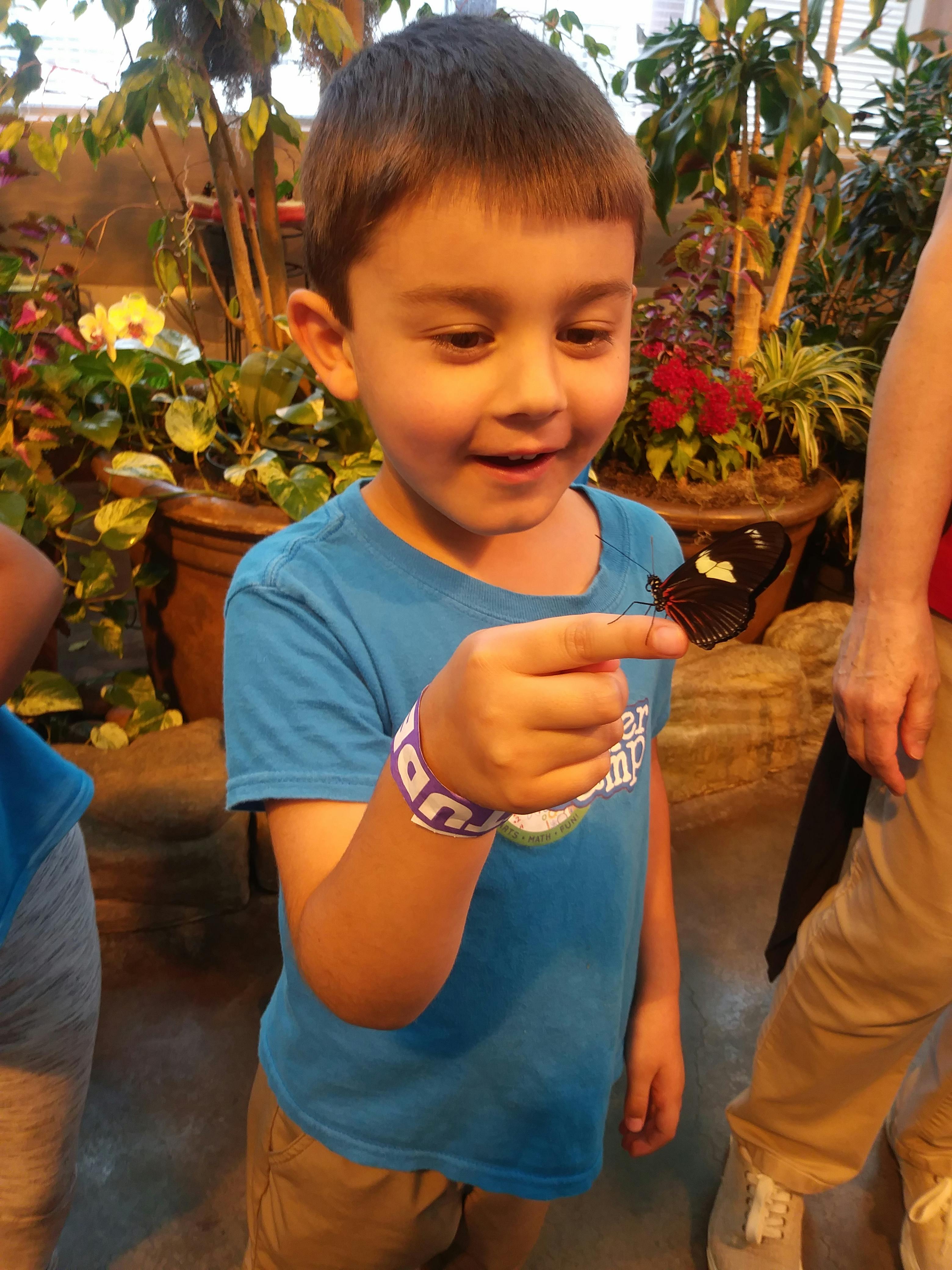Child with a butterfly on their finger