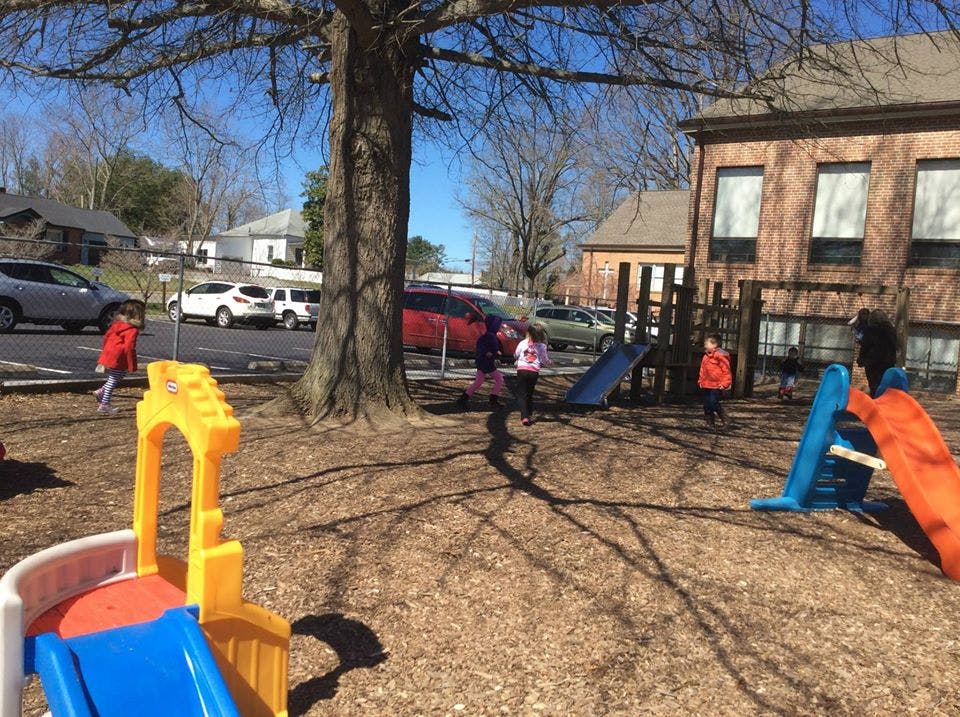 Children playing on a playground with slides and a tree