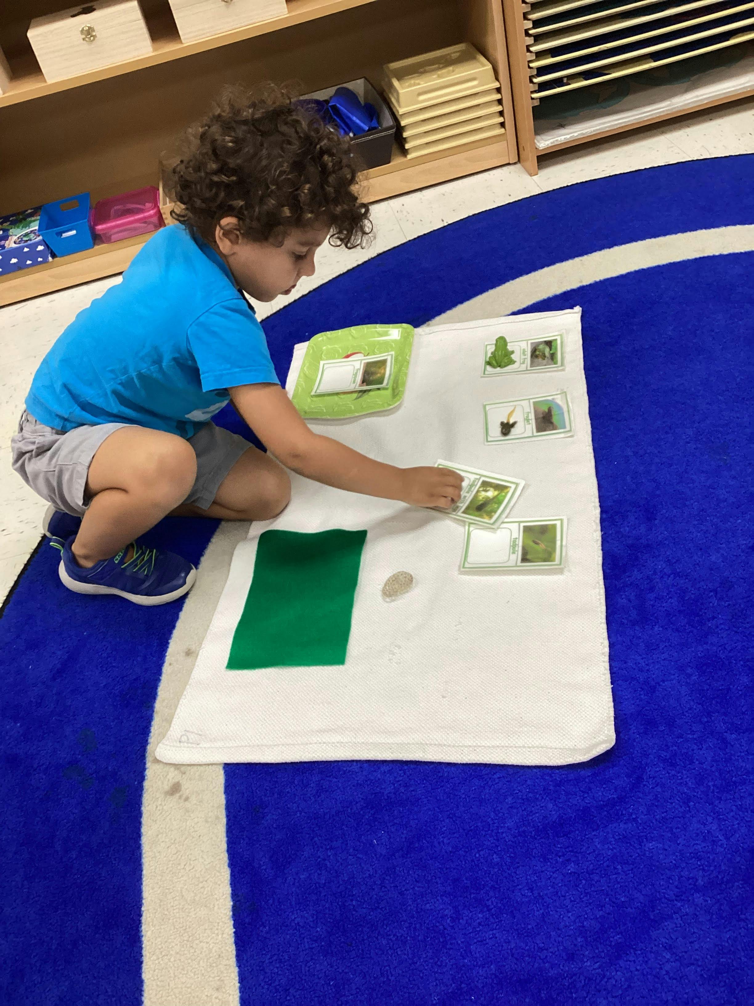 Child kneeling on a blue rug, arranging cards on a white mat