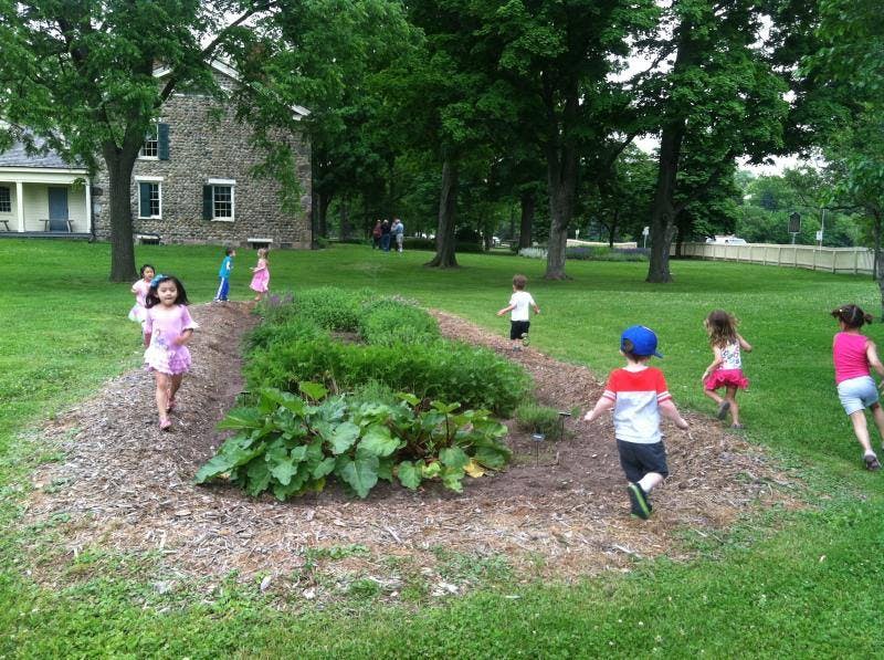 Children running around a garden bed in a grassy area