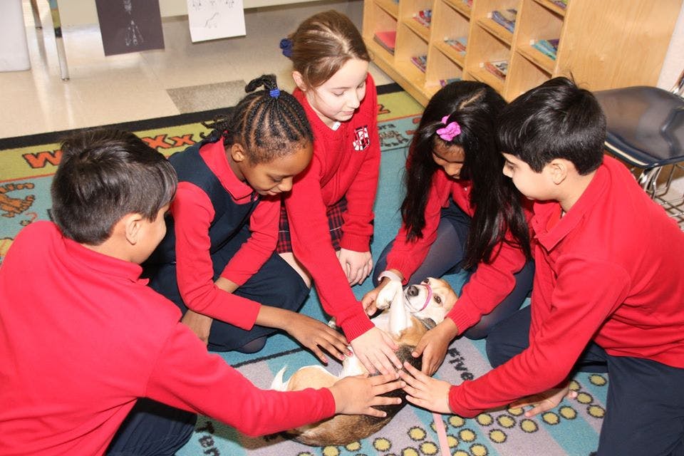 Children in red shirts petting a dog on the floor
