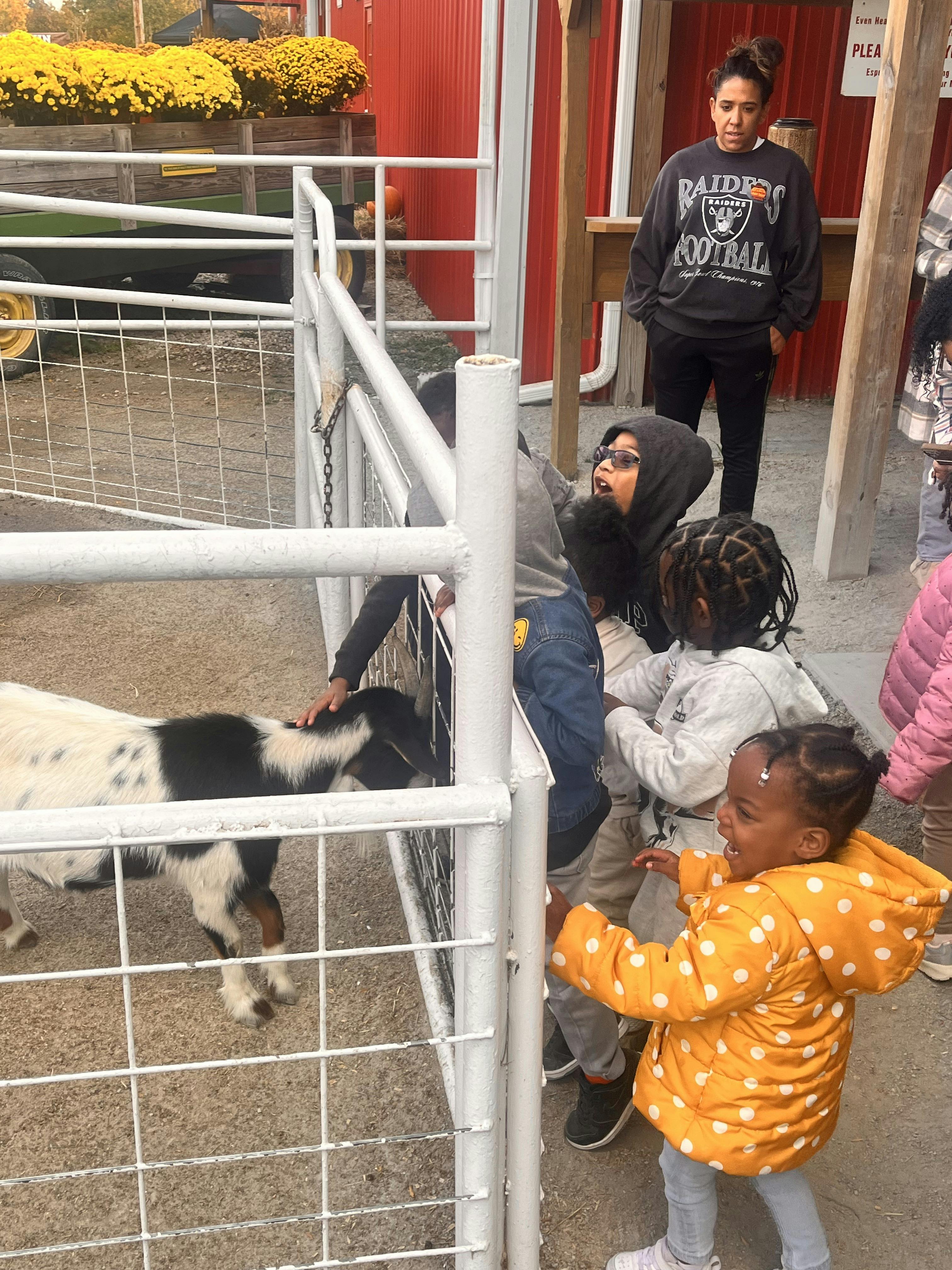 Person and children petting a goat in a pen