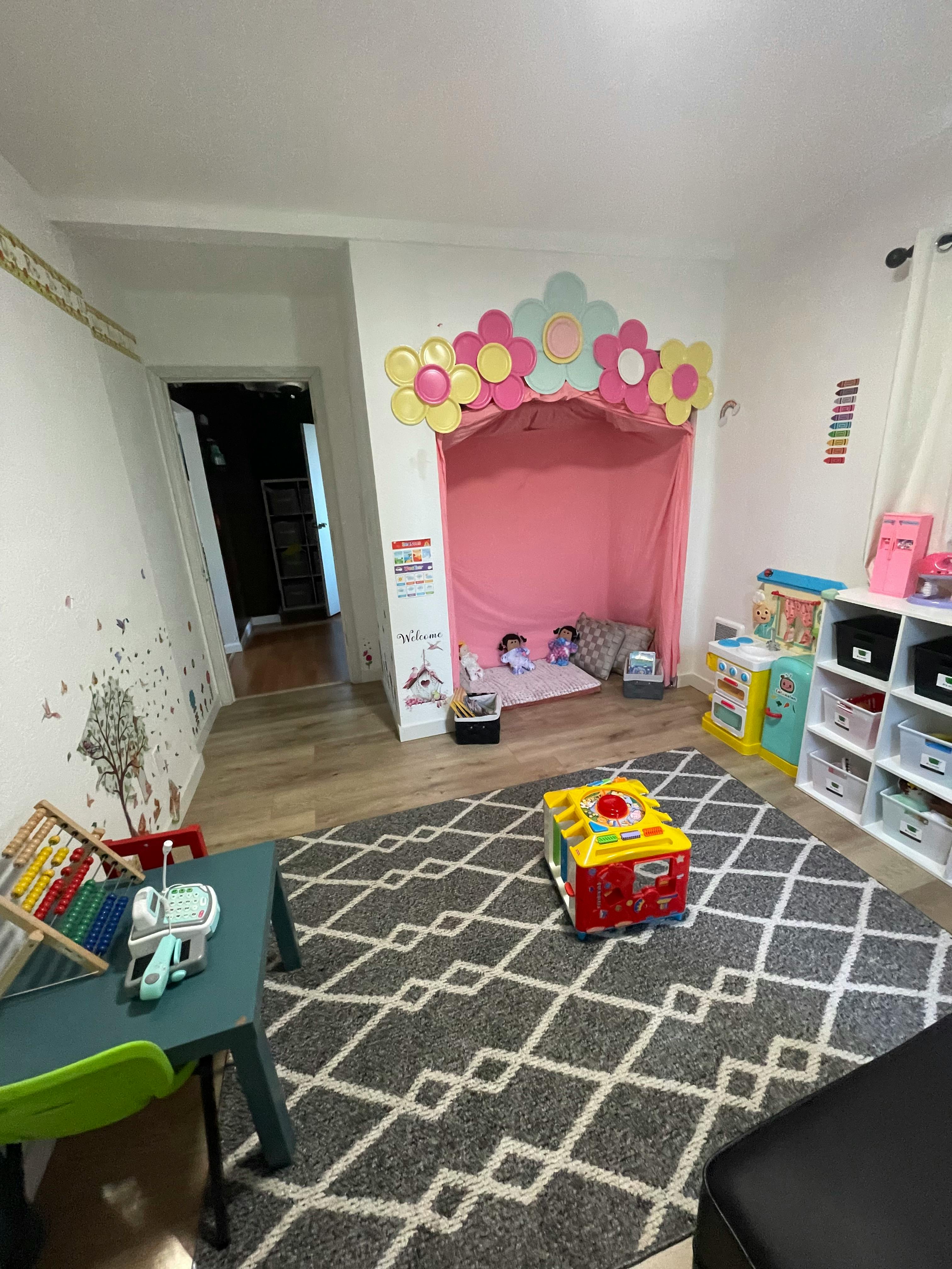 Playroom with a pink canopy, toys, and a patterned rug