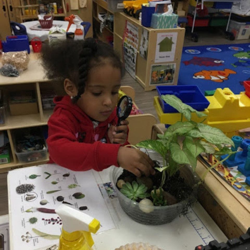 Child holding a magnifying glass and touching plants in a bowl