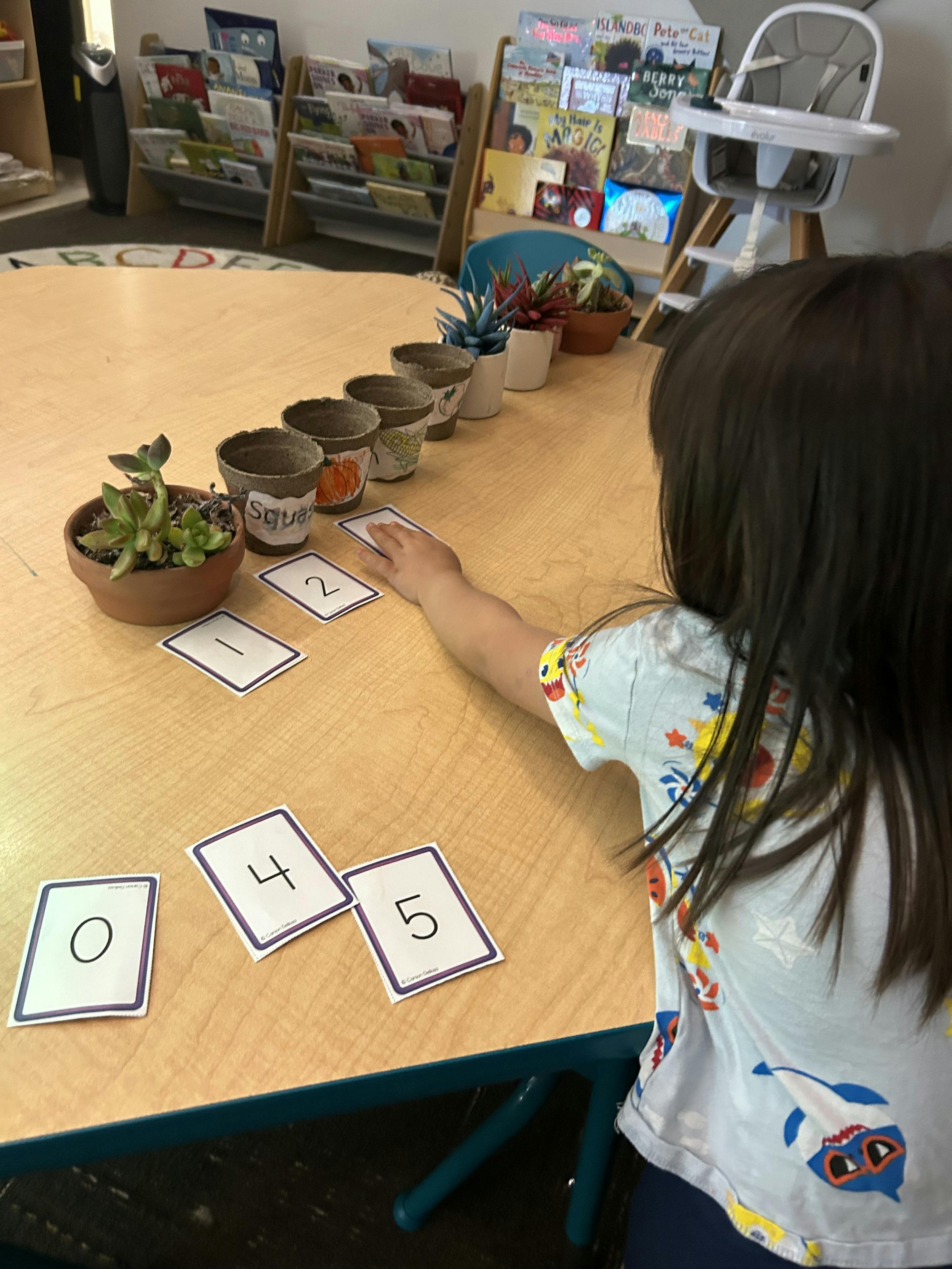Child organizing number cards next to potted plants on a classroom table
