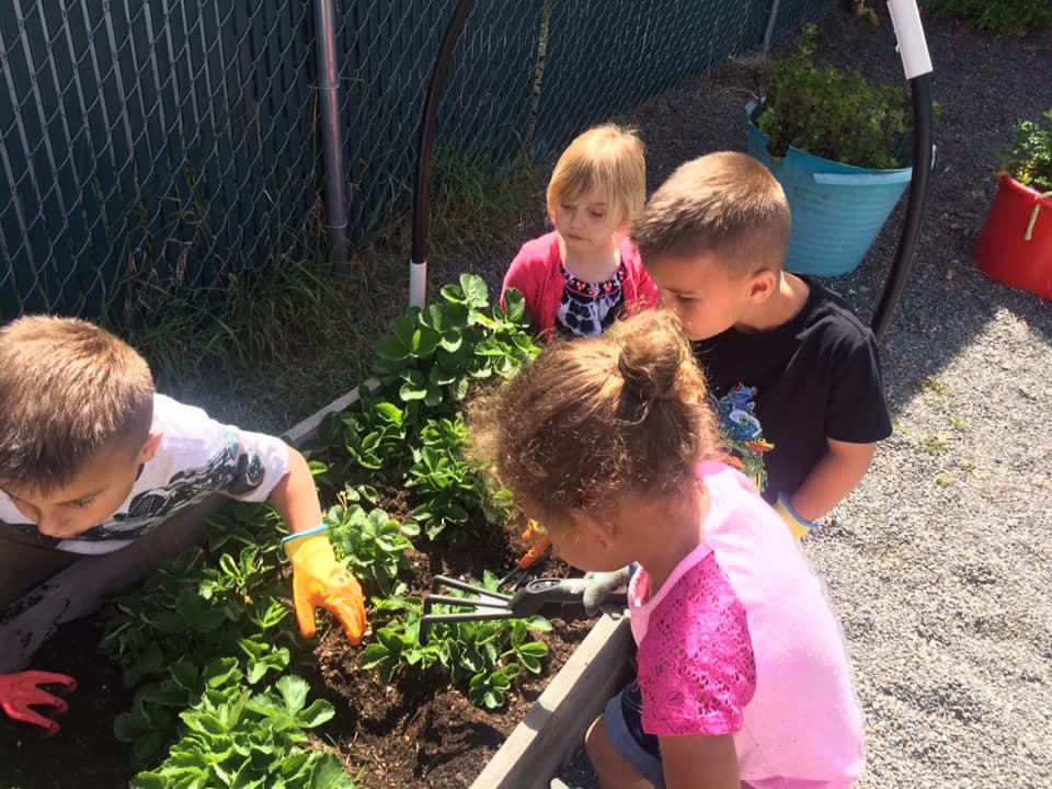 Children gardening in a raised garden bed