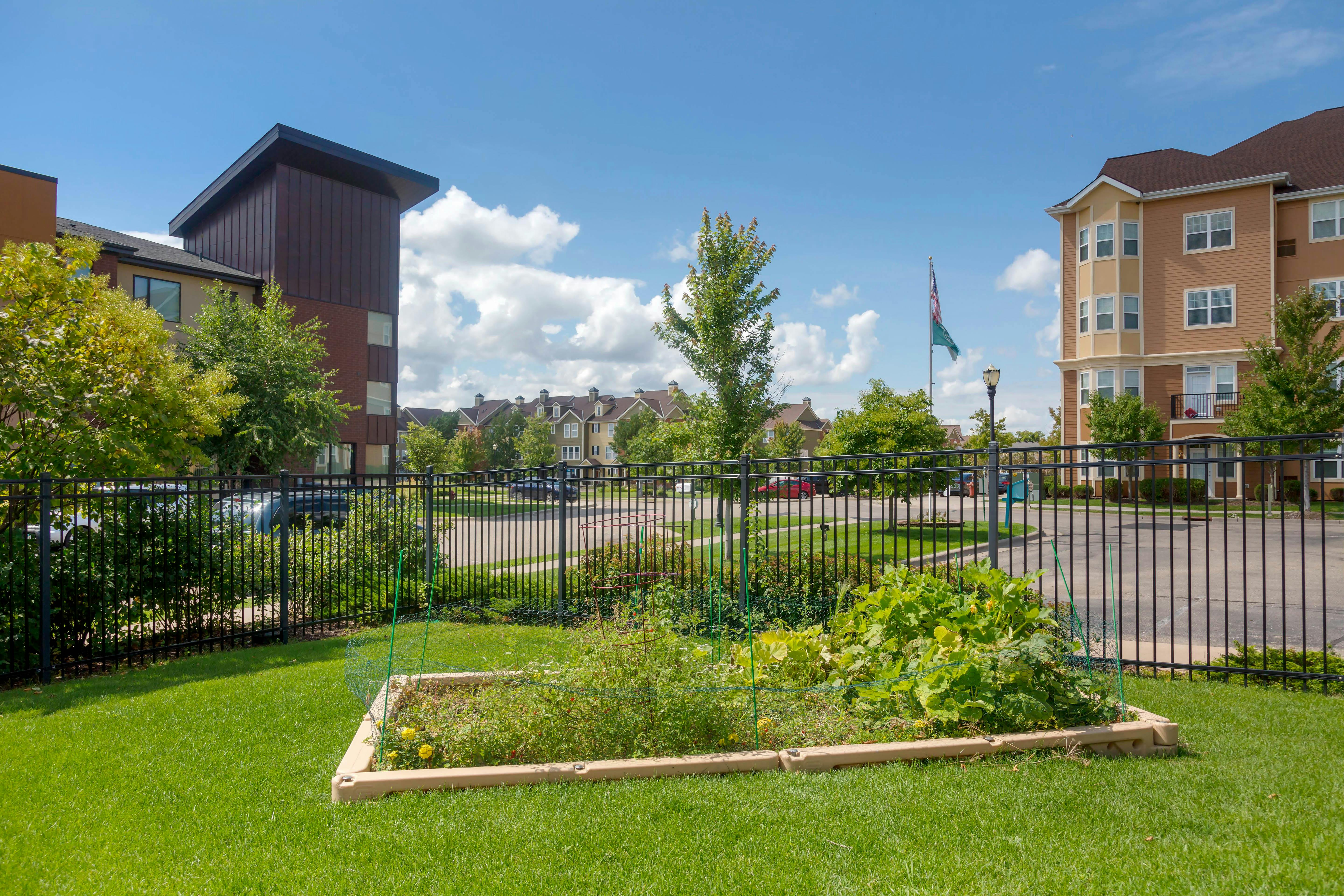A raised garden bed with various plants and a black fence, with buildings behind it
