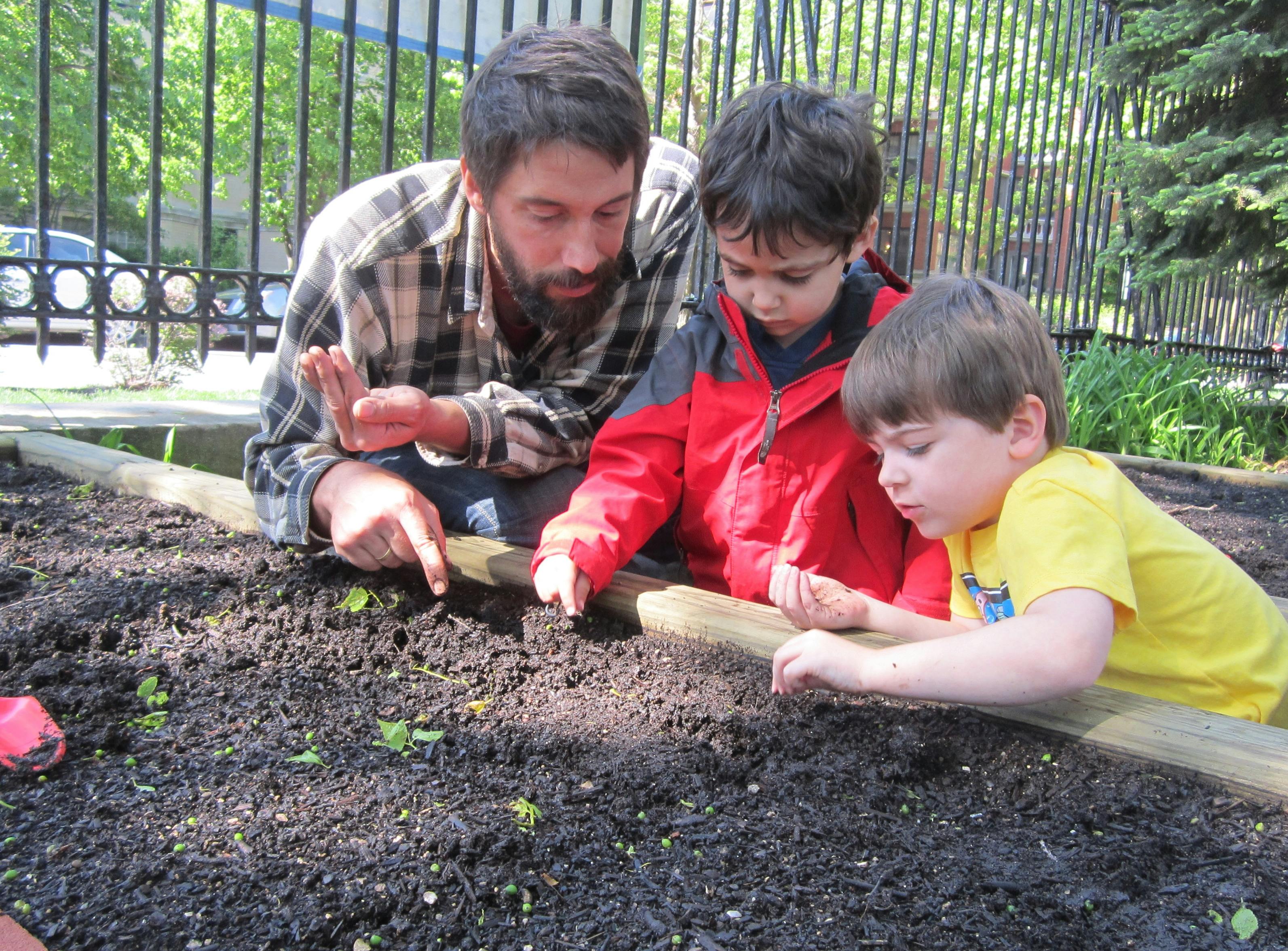 Person and two children planting in a garden bed of garden bed