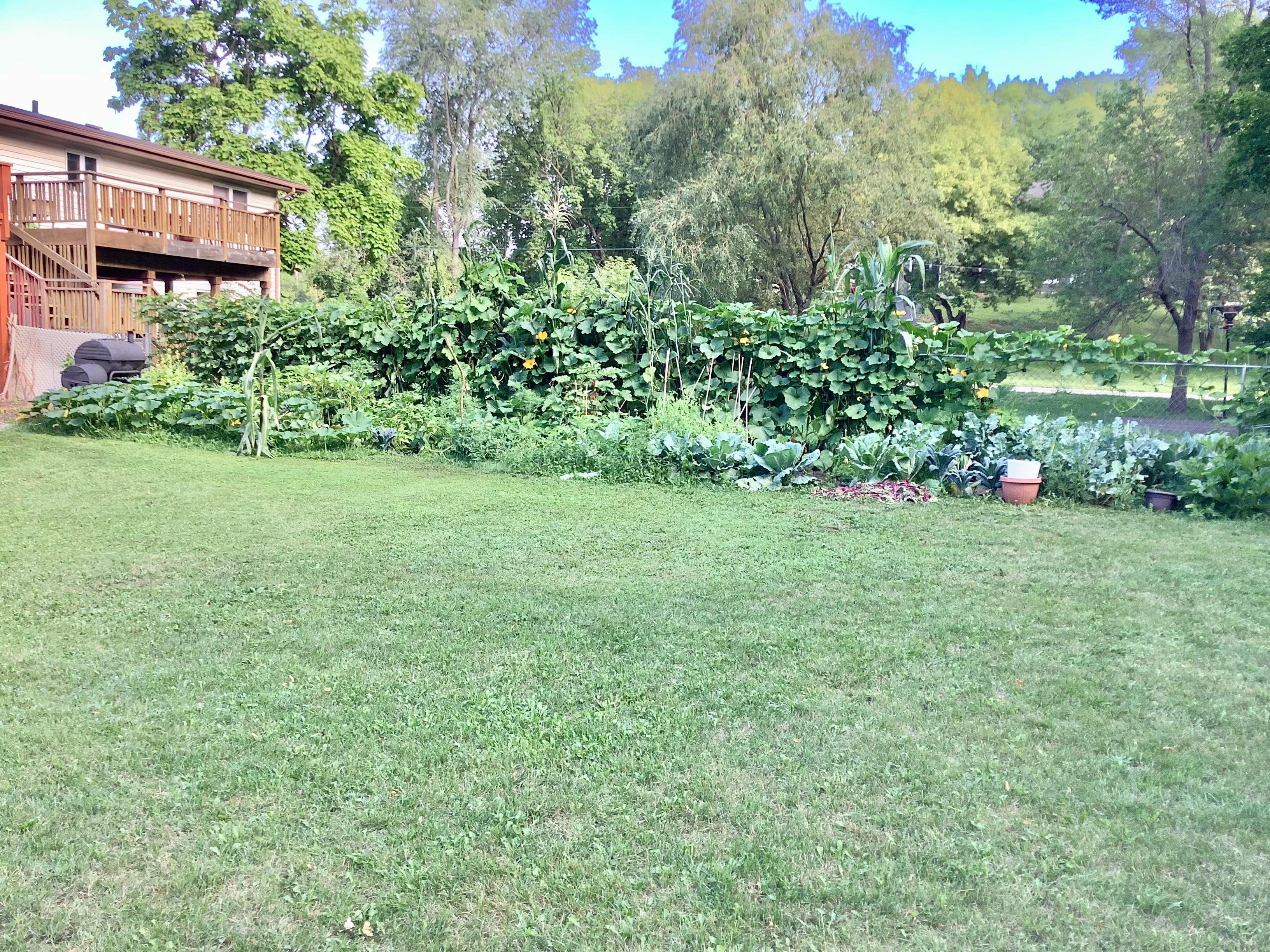 Lush green garden with various plants and a house in the background