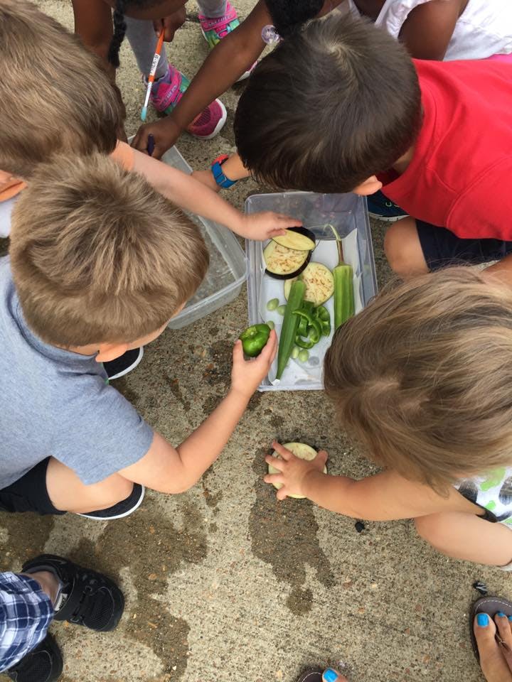 Cadence Academy Preschool Daycare in Olive Branch, MS Winnie