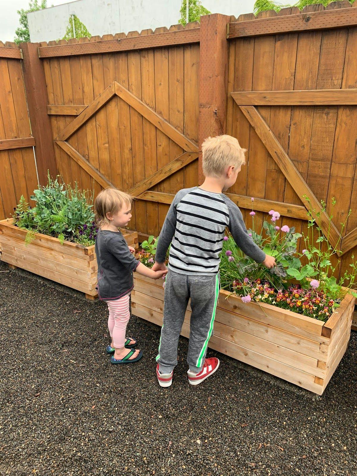 Two children looking at plants in a raised garden bed