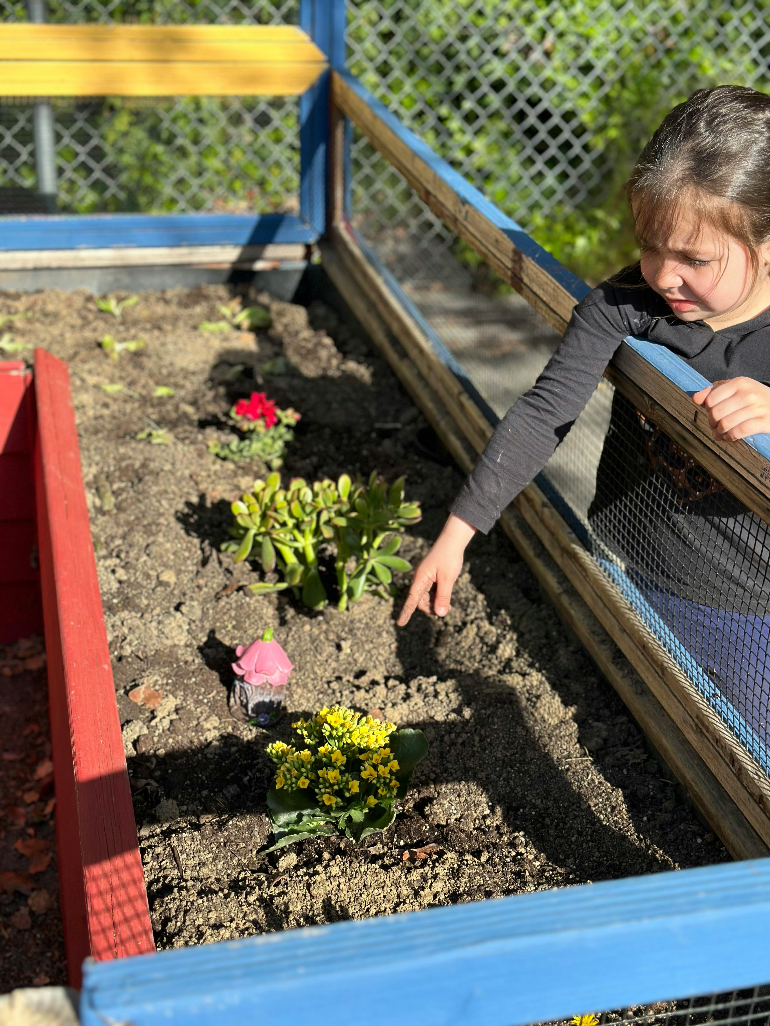 Child pointing at plants in a garden bed
