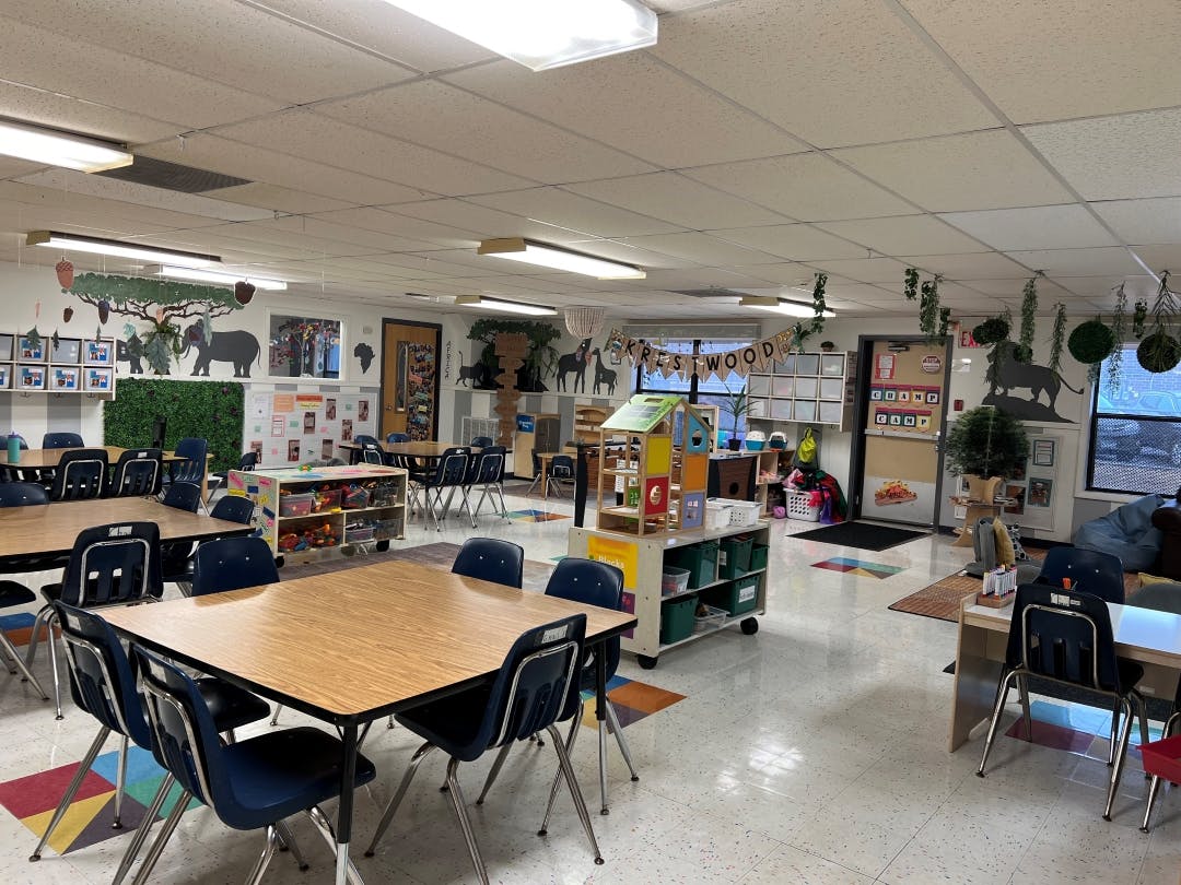 Classroom with small tables and chairs, animal cutouts on walls, and plants