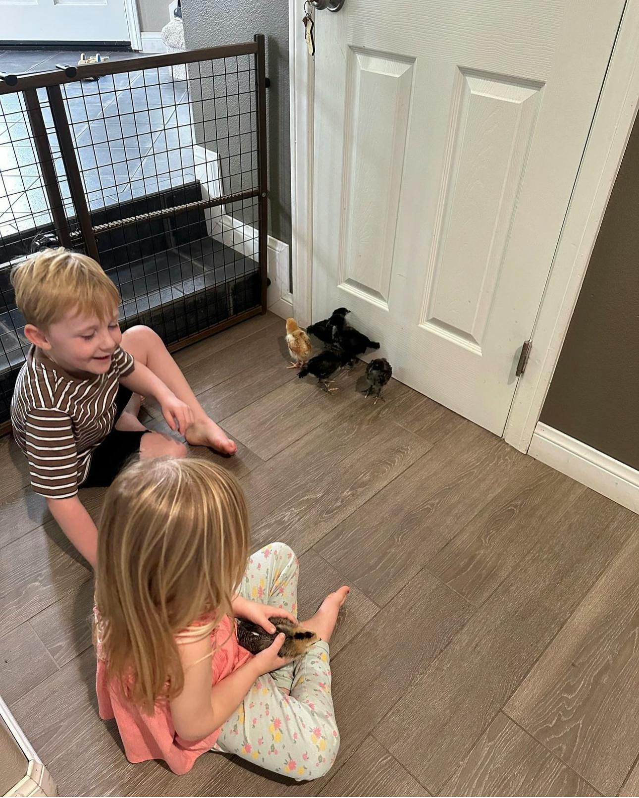 Two children sitting on the floor with several chicks