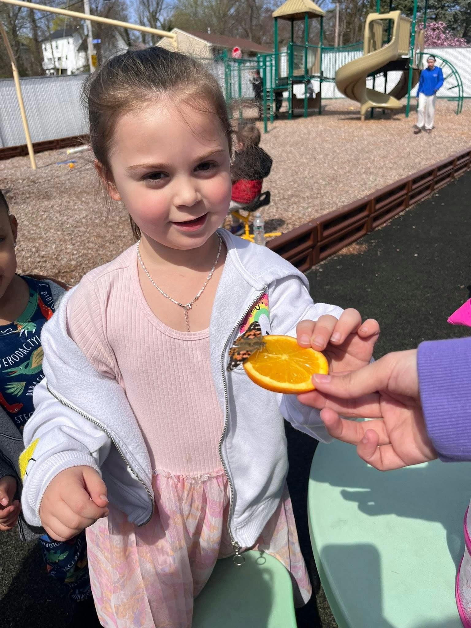 Child holding an orange slice with a butterfly on it