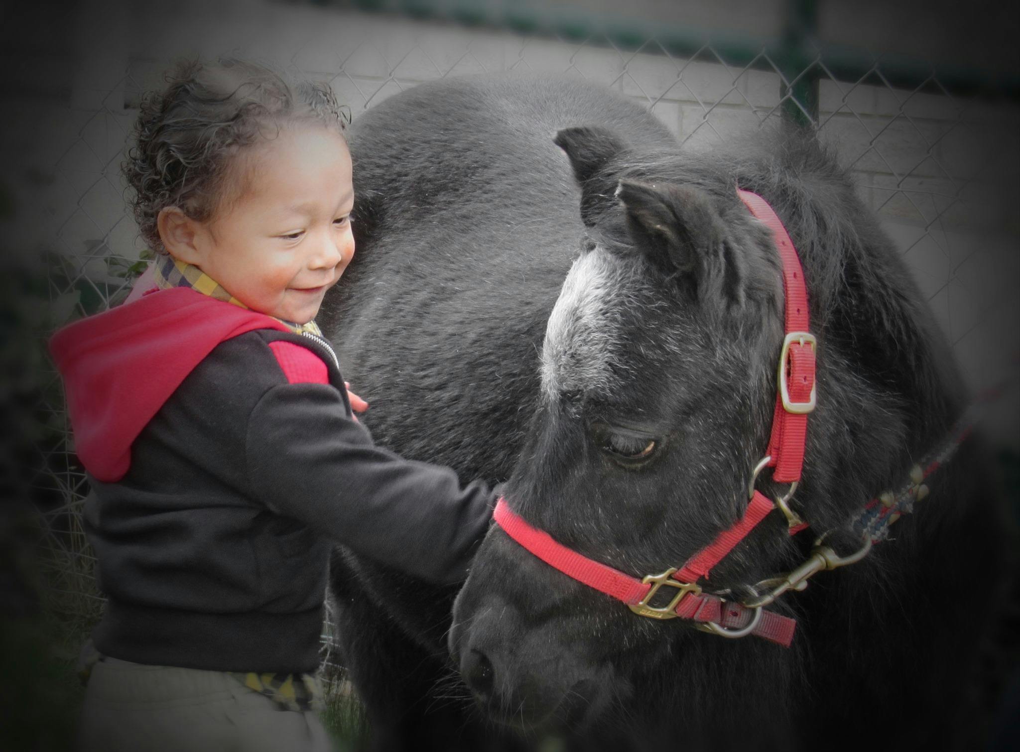 Child petting a horse