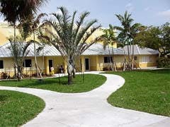Curved path leading to a building with palm trees