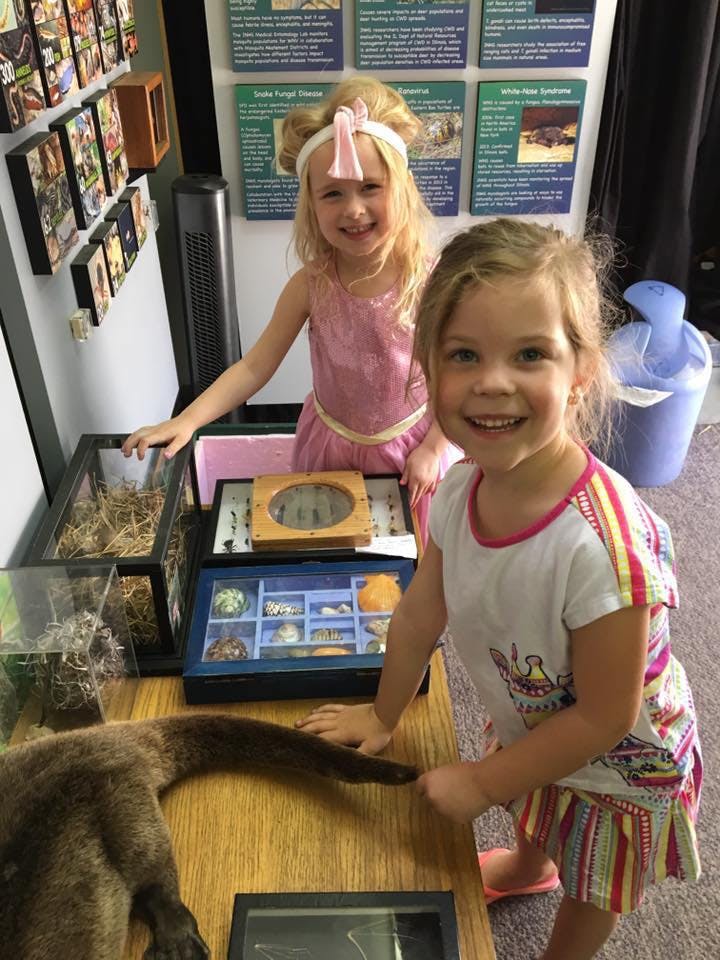 Two children looking at museum exhibits