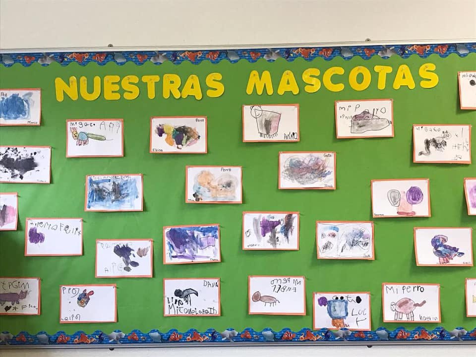 Children's drawings of pets displayed on a green bulletin board with text "NUESTRAS MASCOTAS"