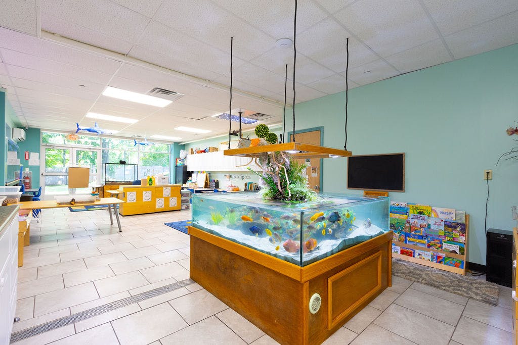 Large fish tank in a room with light blue walls