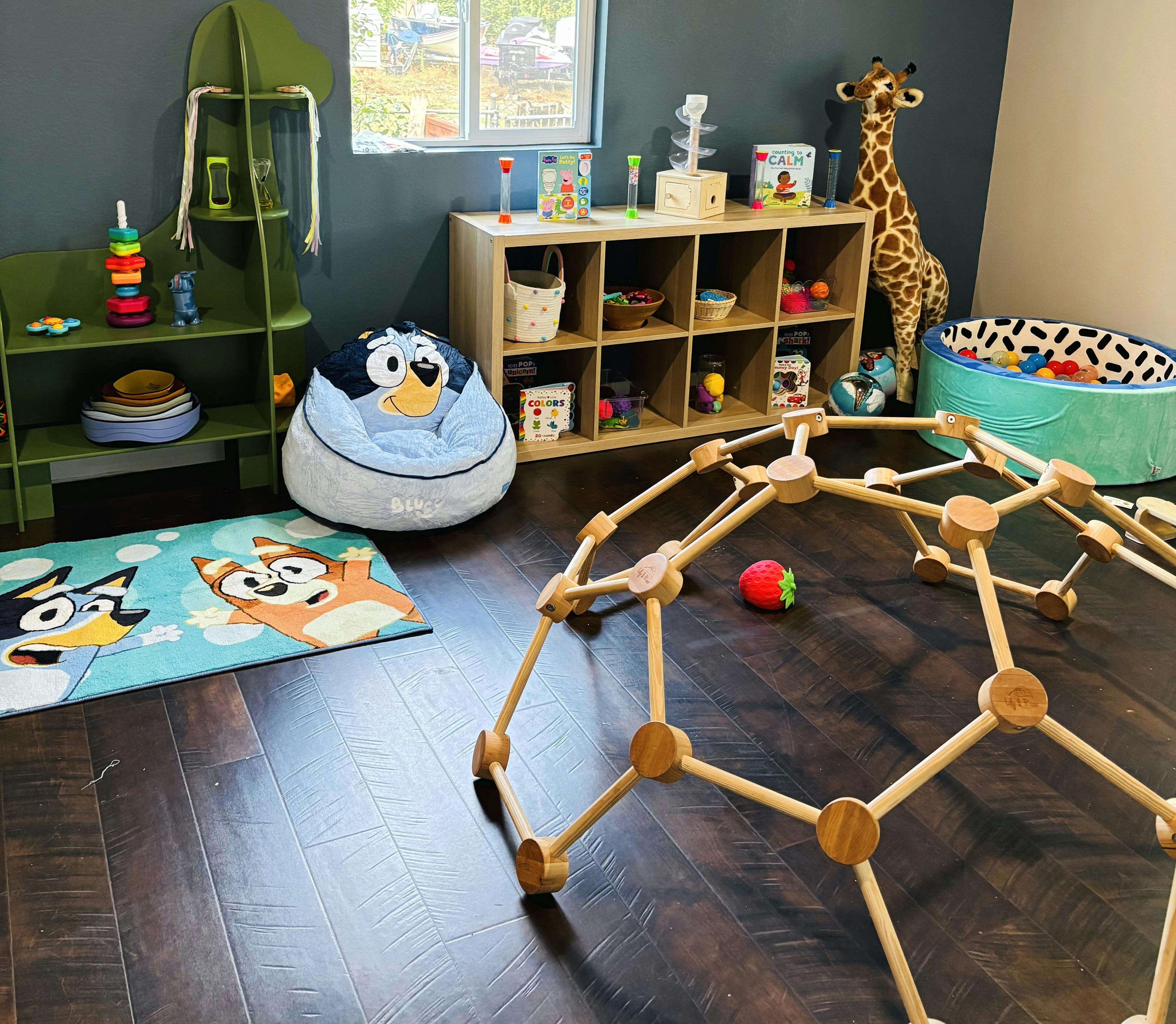 Playroom with toys, wooden climbing structure, and ball pit