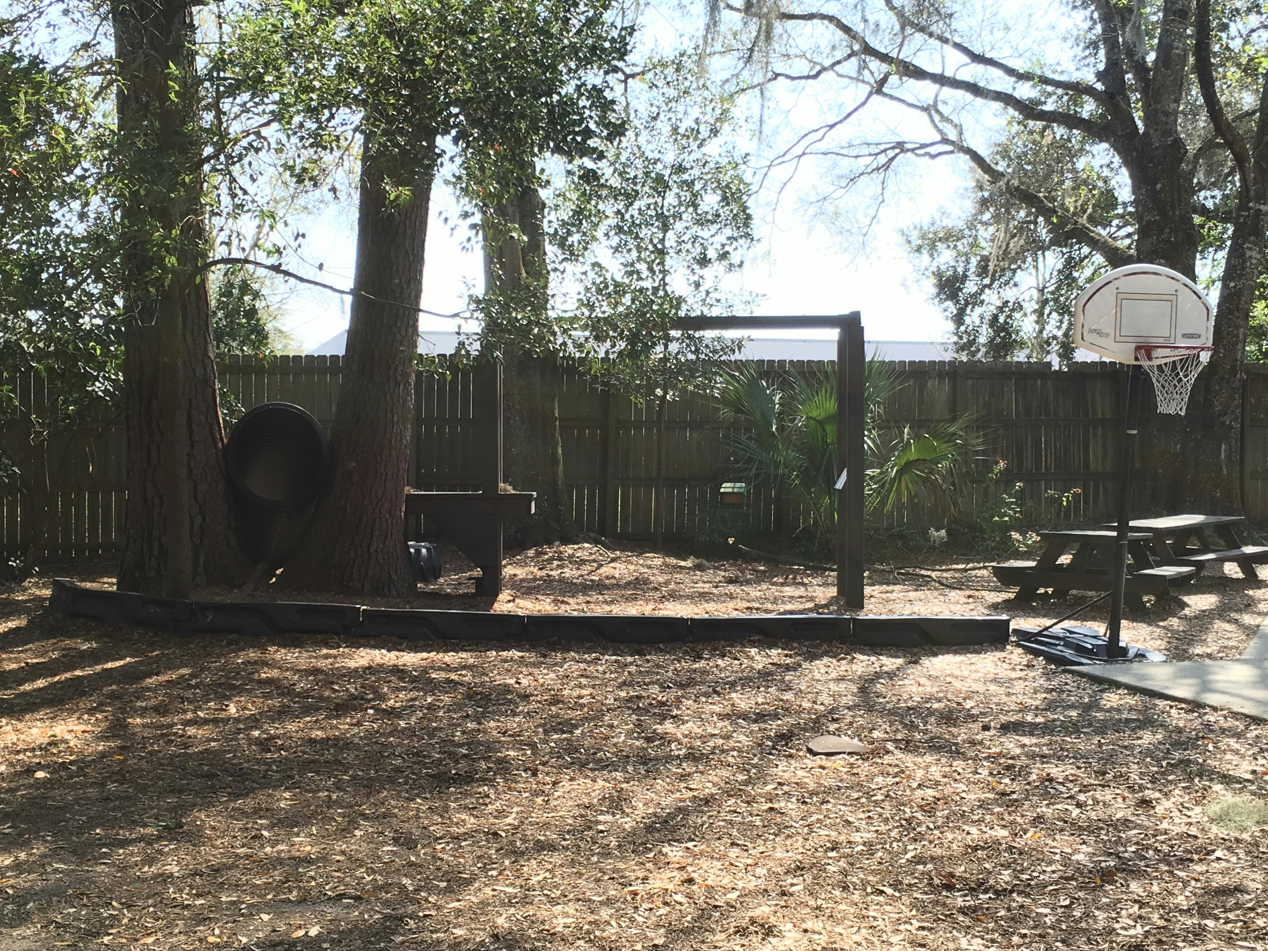 Backyard with a basketball hoop, picnic table, and tire swing