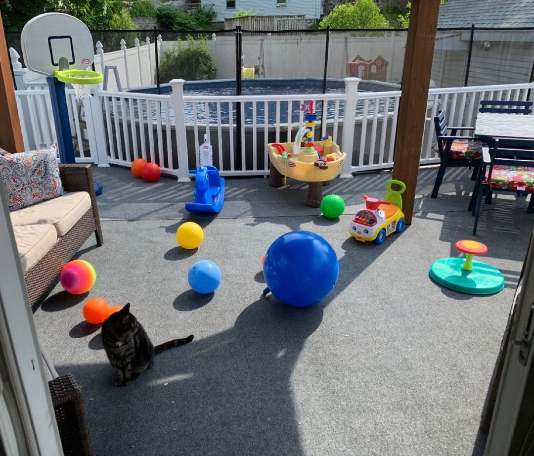 Cat on a patio with balls and toys