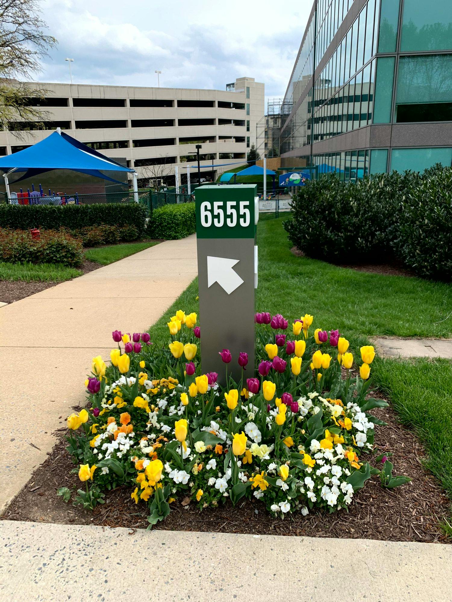 Sign displaying the number 6555 with an arrow surrounded by flowering plants