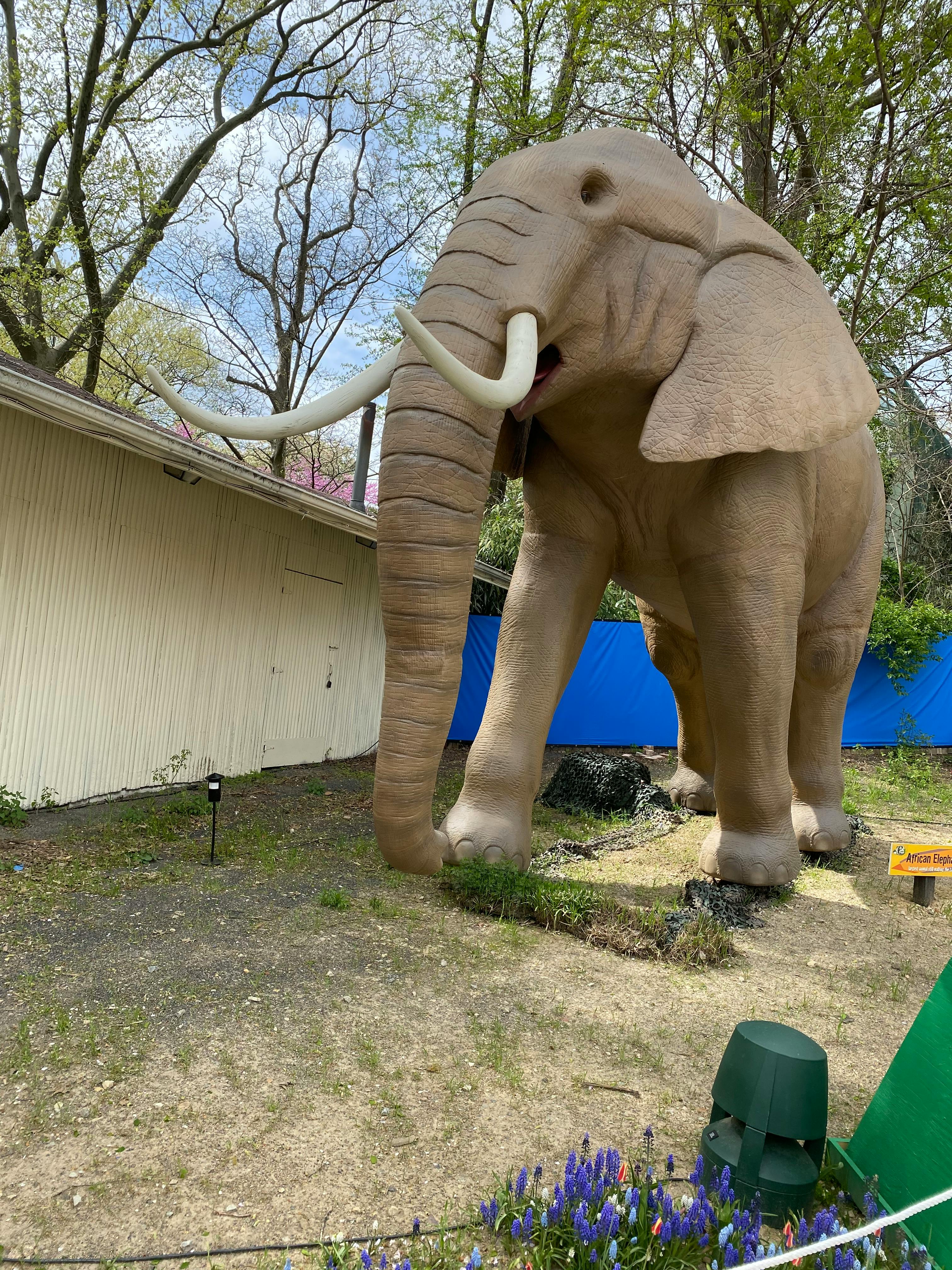 Large elephant statue with tusks outdoors