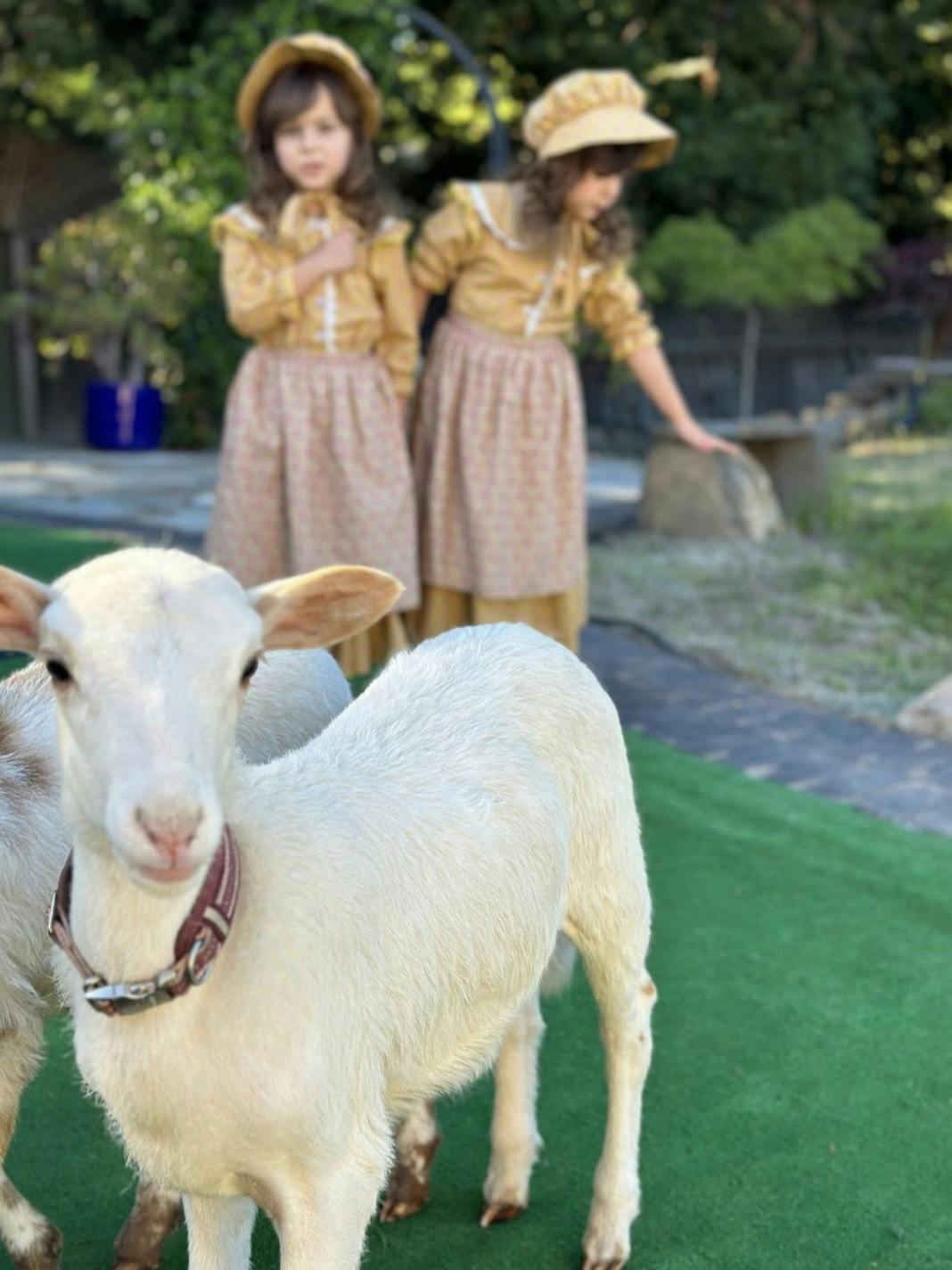 White sheep in the foreground with two children in historical clothing behind