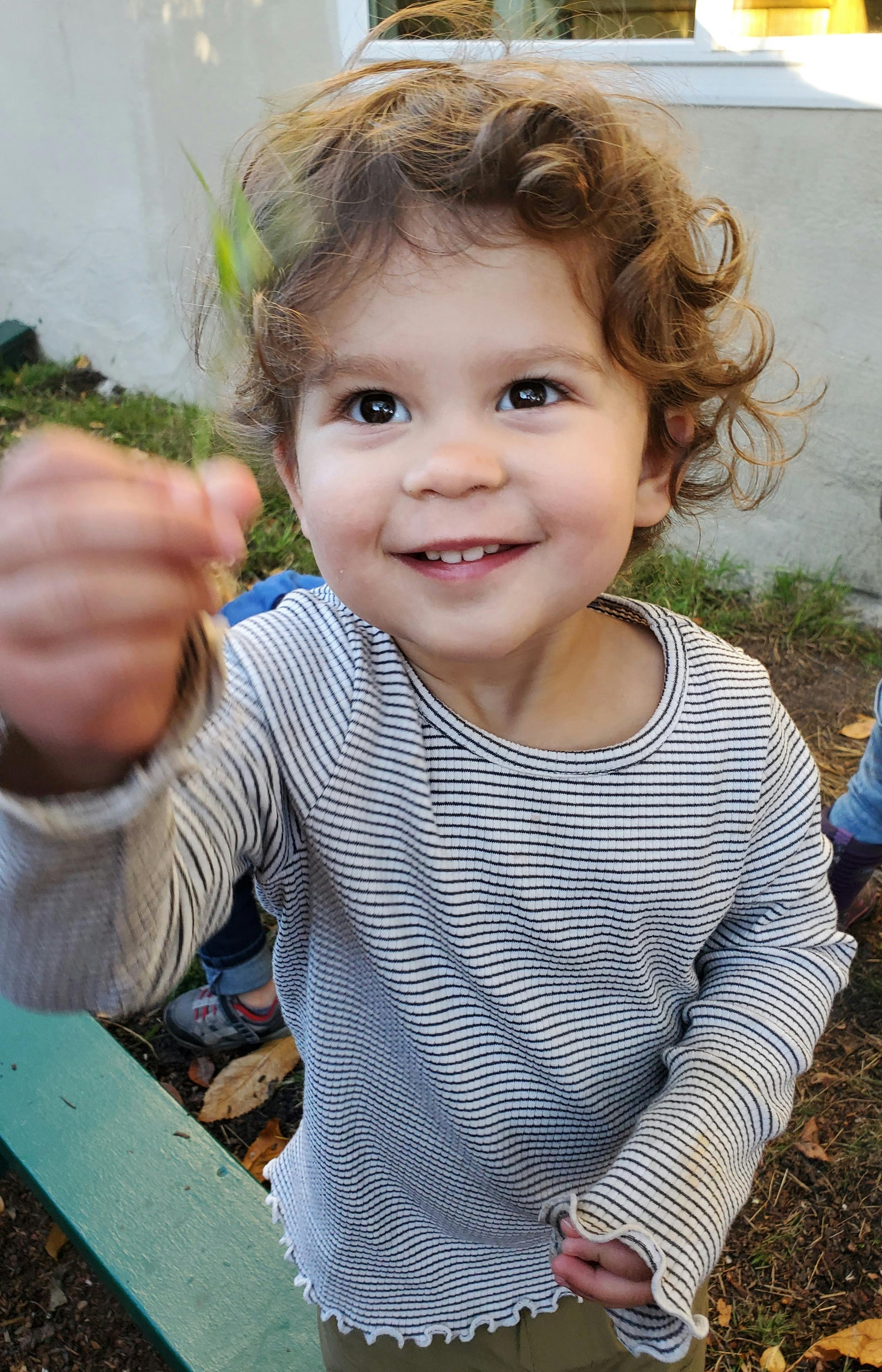 Child holding up a small green leaf