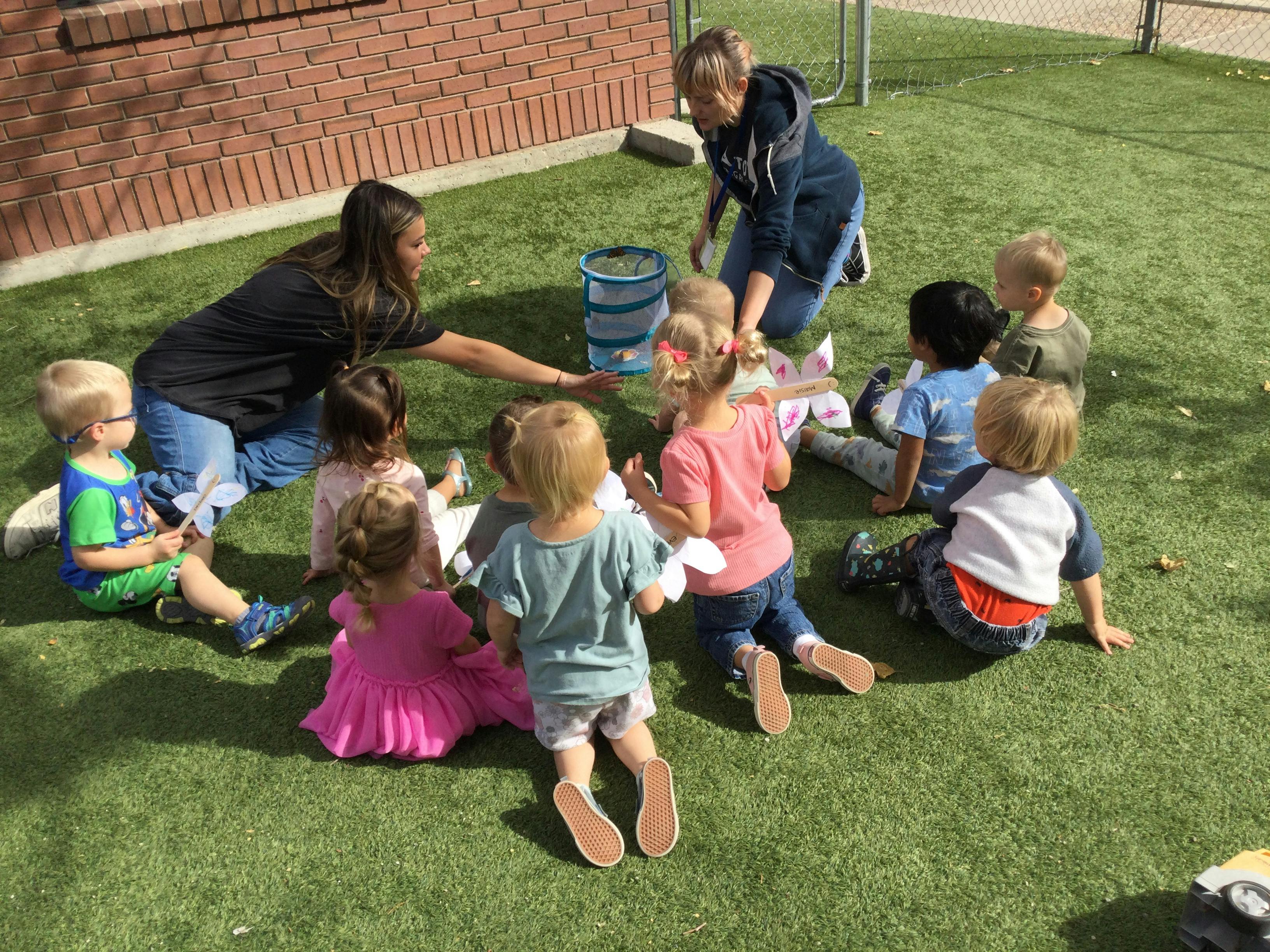 People and children gathered around a butterfly enclosure on artificial grass