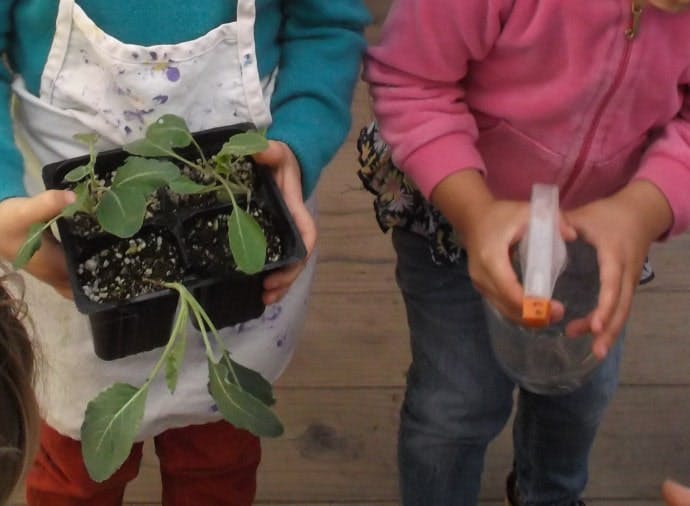 Child in apron holding plant seedlings, child in pink shirt holding spray bottle