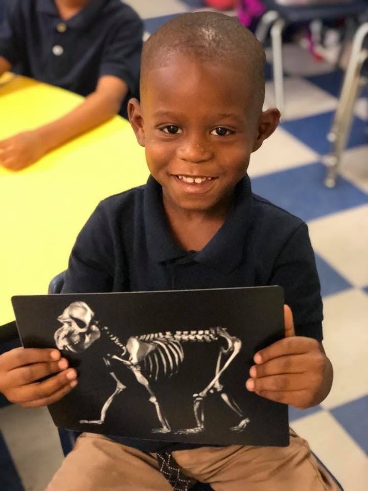 Child holding up a picture of an animal skeleton