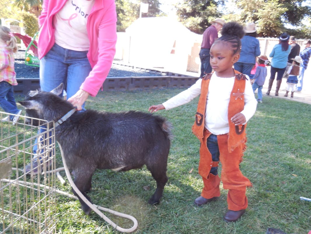 Child and person petting a goat