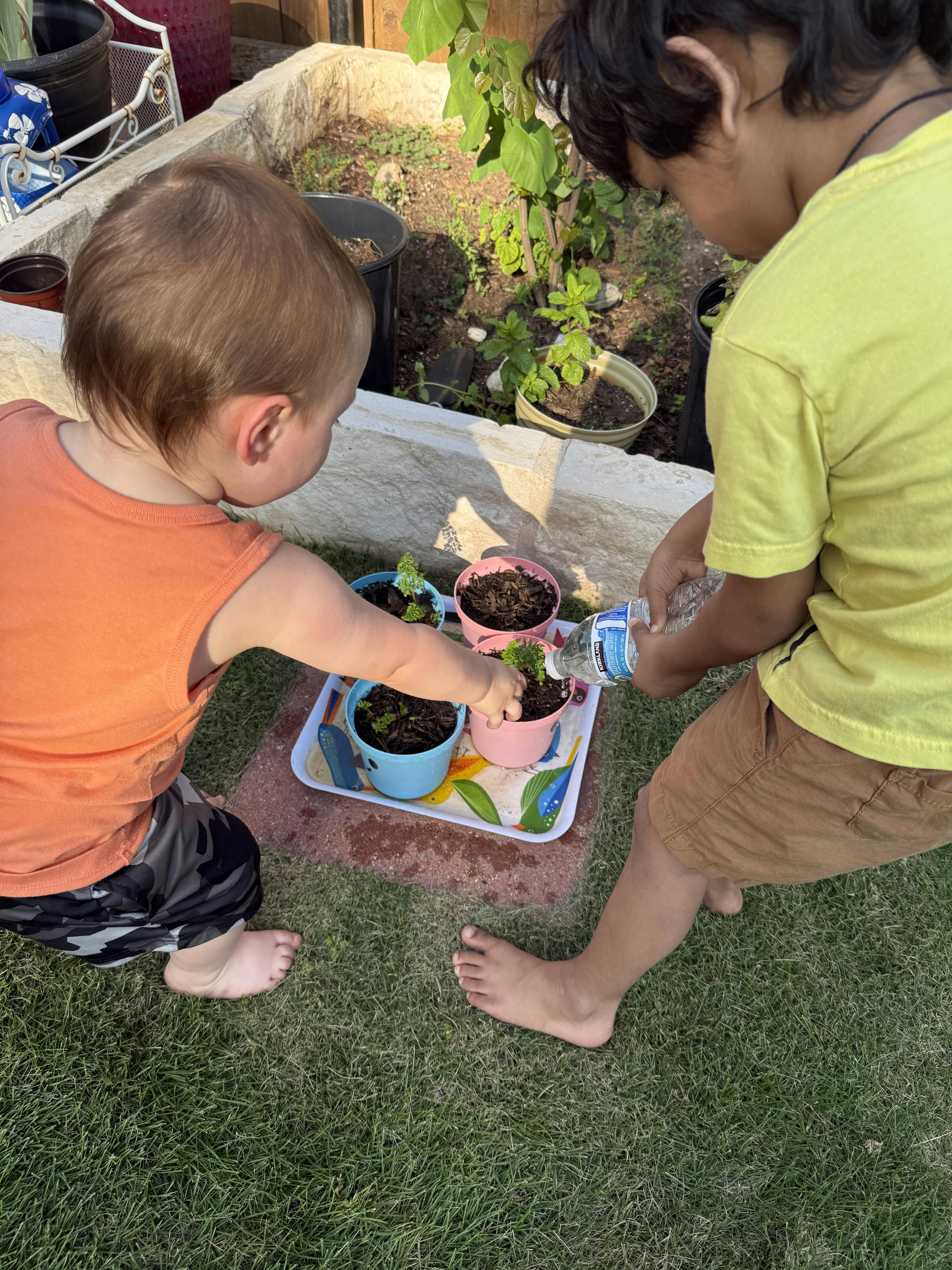 Two children caring for small potted plants on a tray